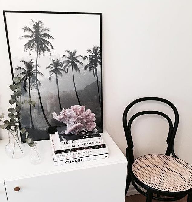 Exotické postery palmových stromů