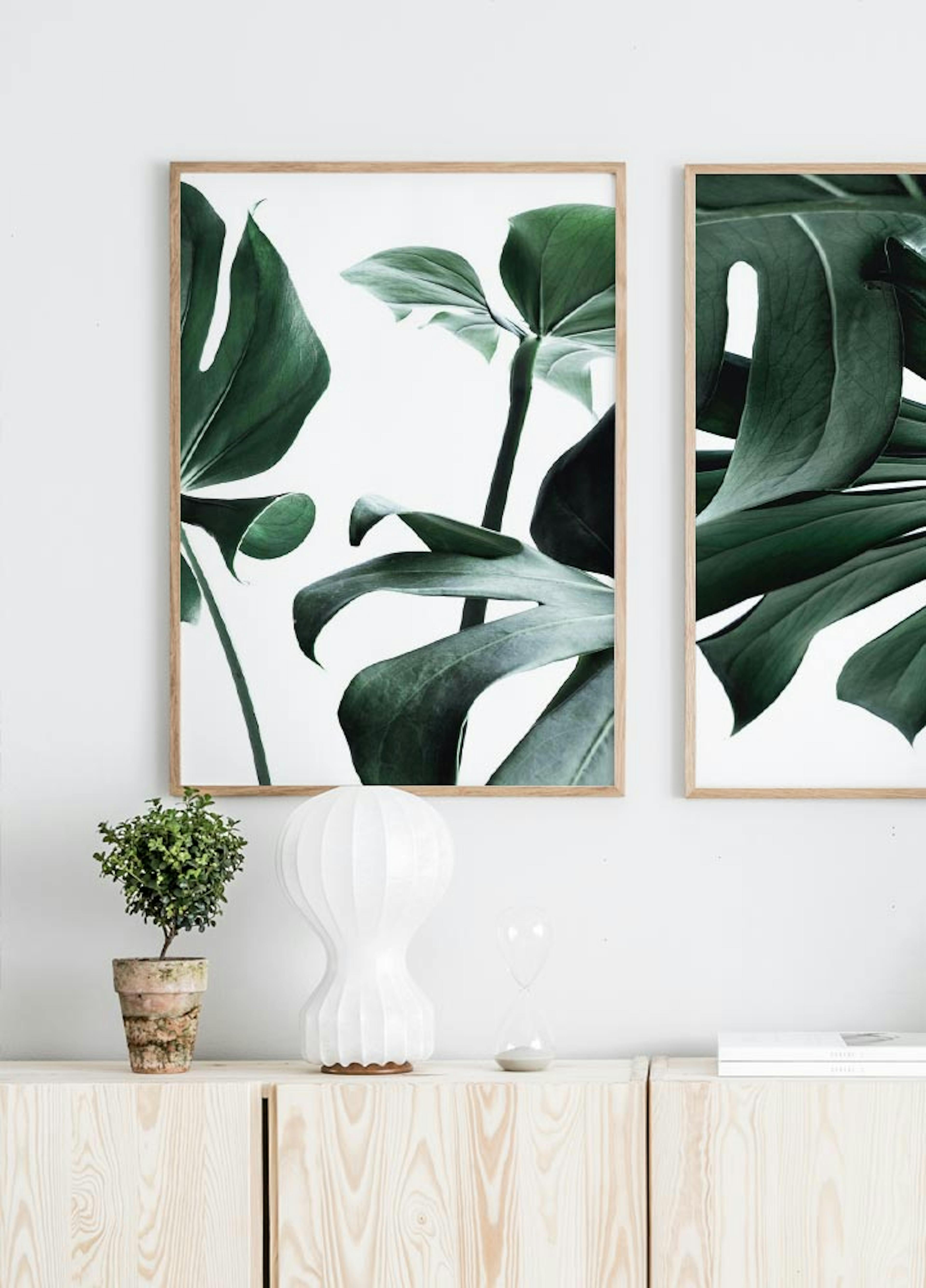 Monstera no. 1 Poster thumbnail