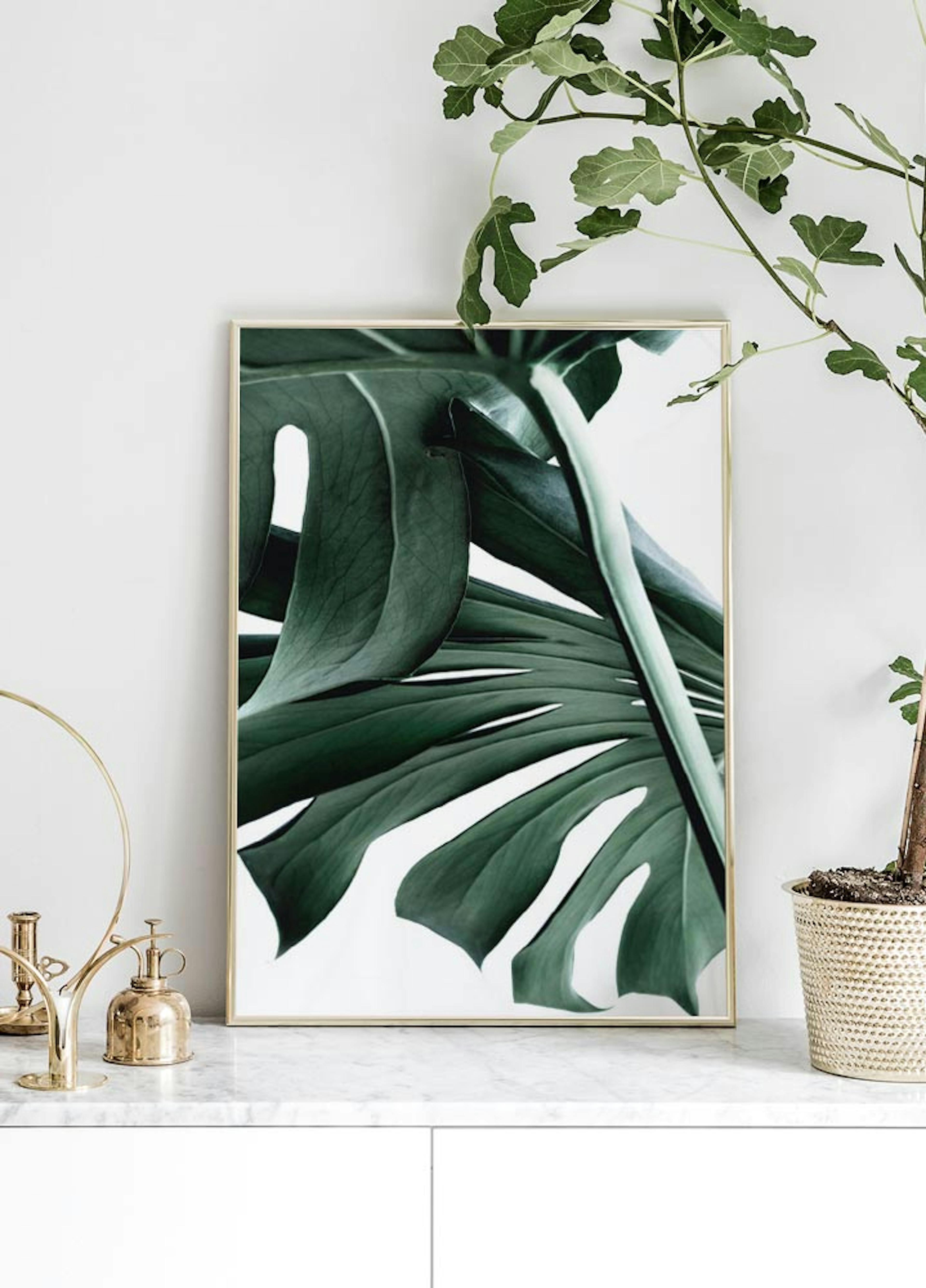 Monstera no. 2 Poster thumbnail