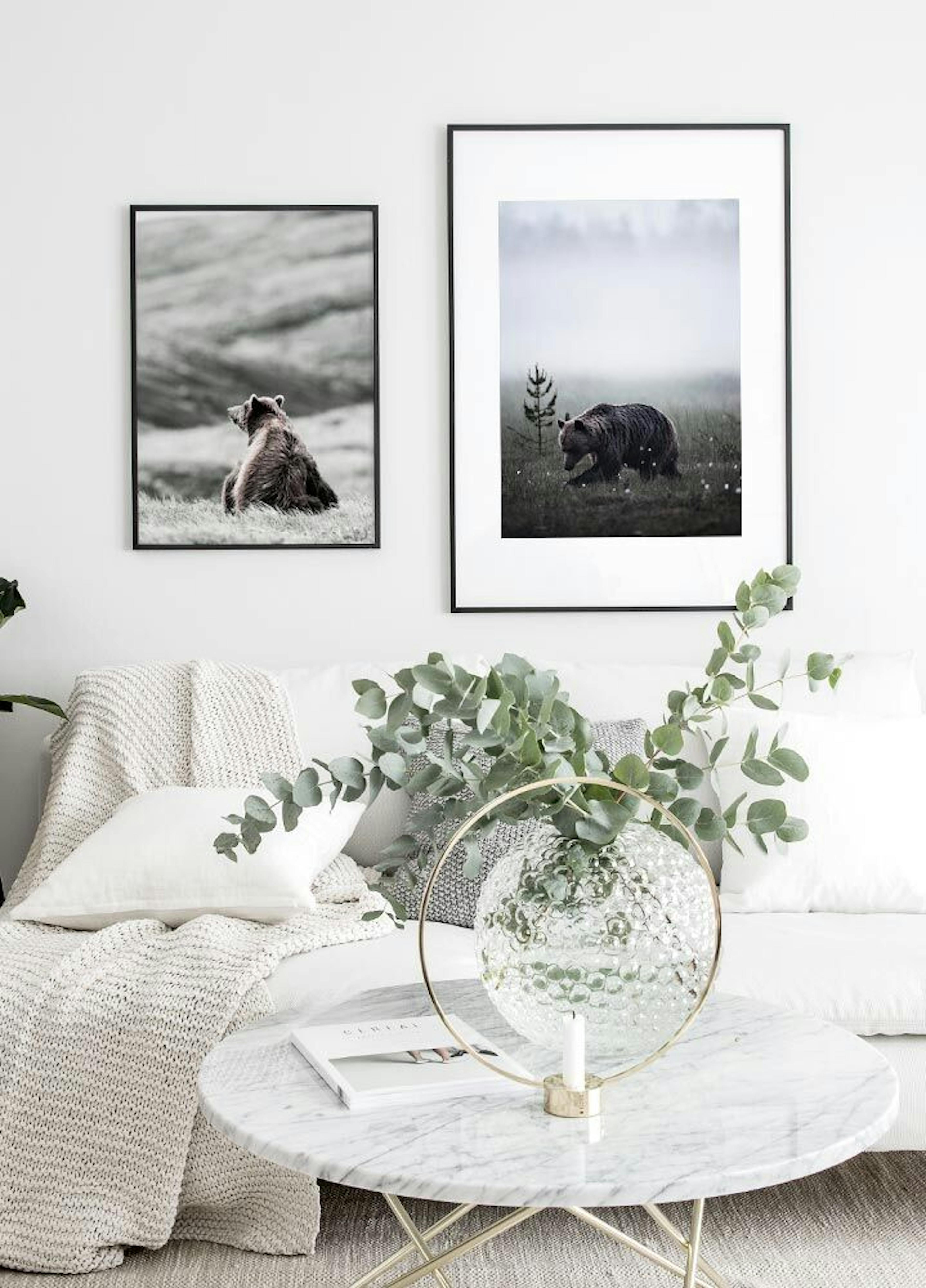 Brown Bear. Affiche thumbnail