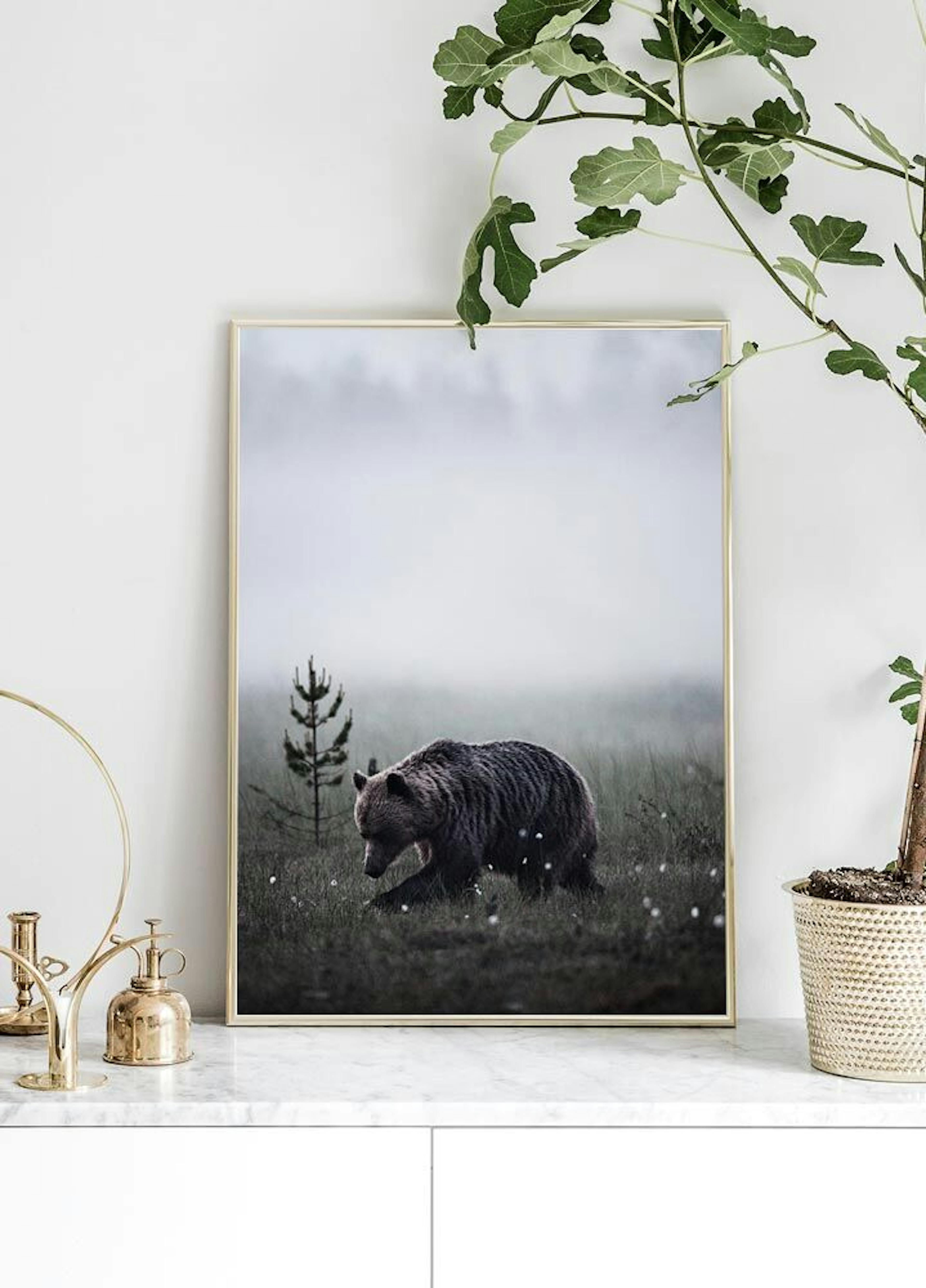 Poster Orso thumbnail