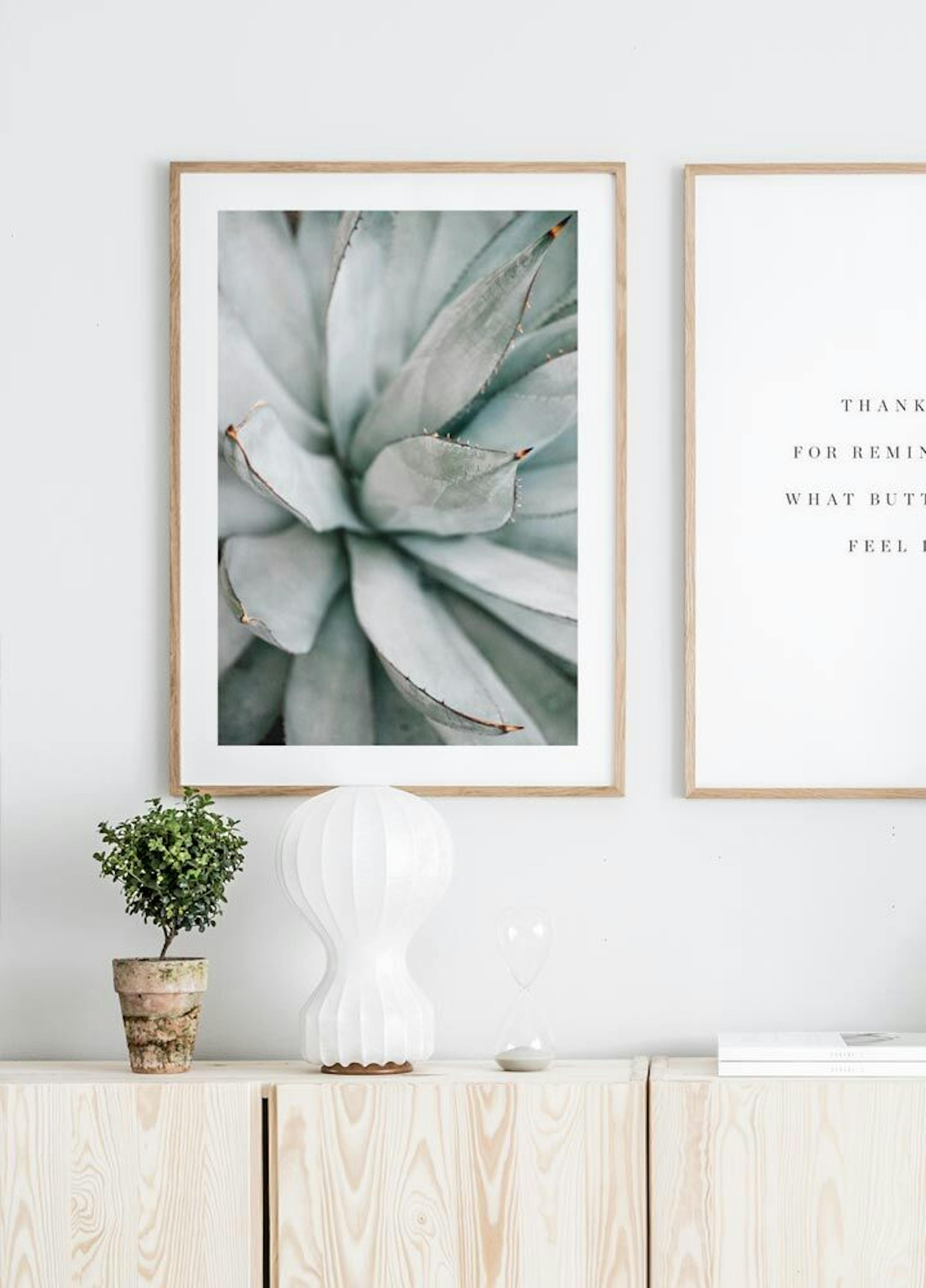 Aloe vera Plakat thumbnail