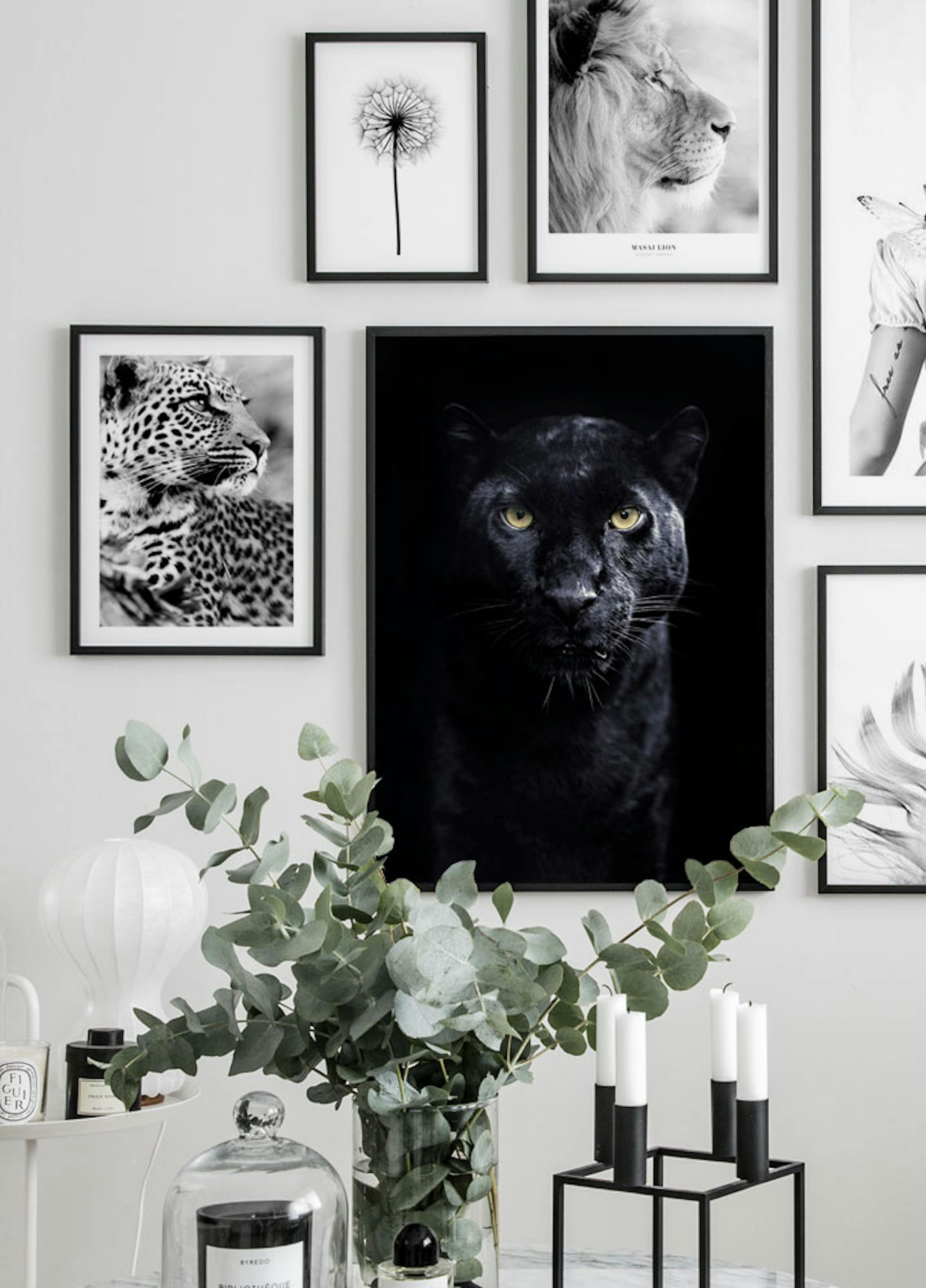 Panther Poster thumbnail