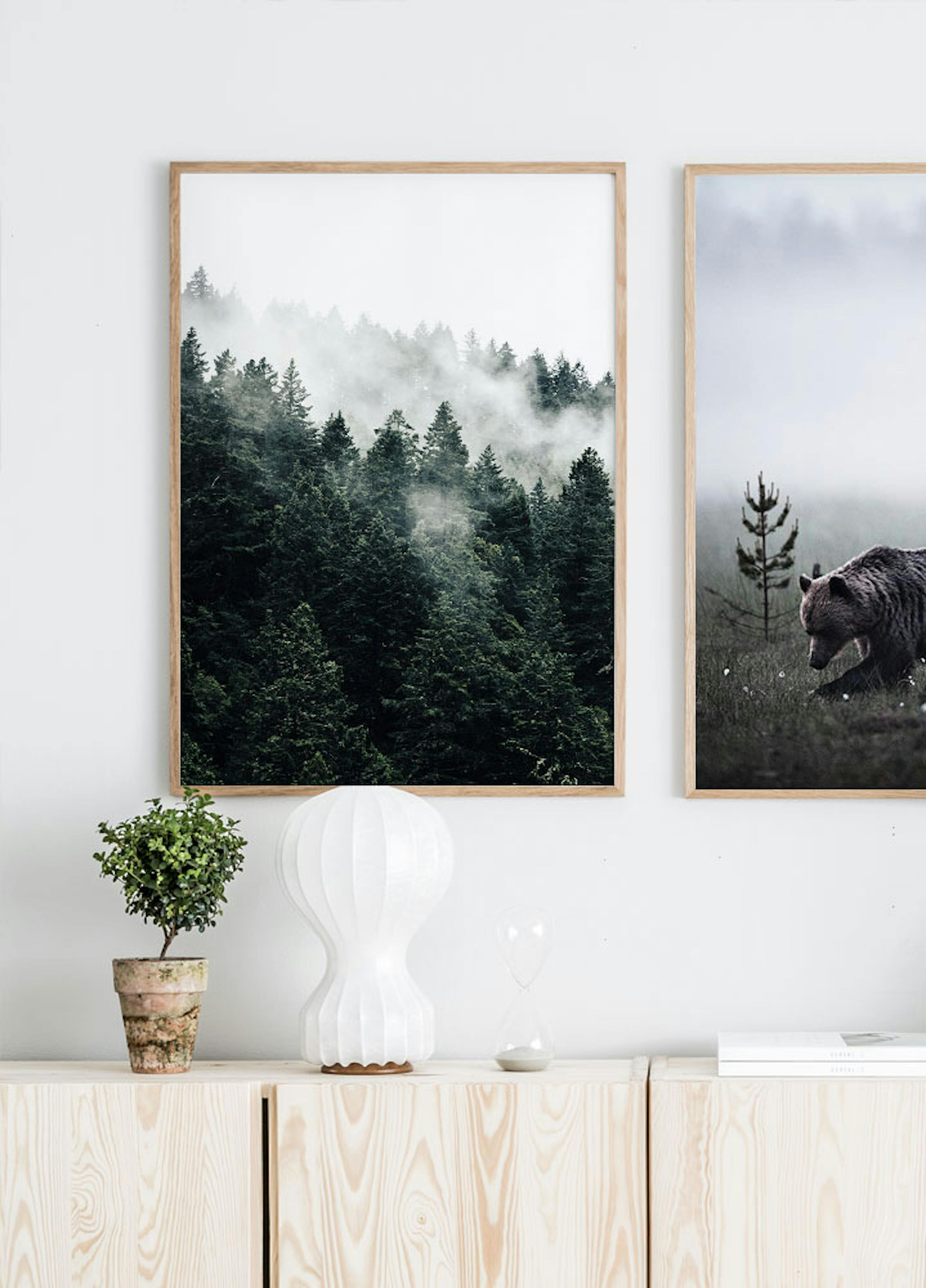 Misty Forest Poster thumbnail