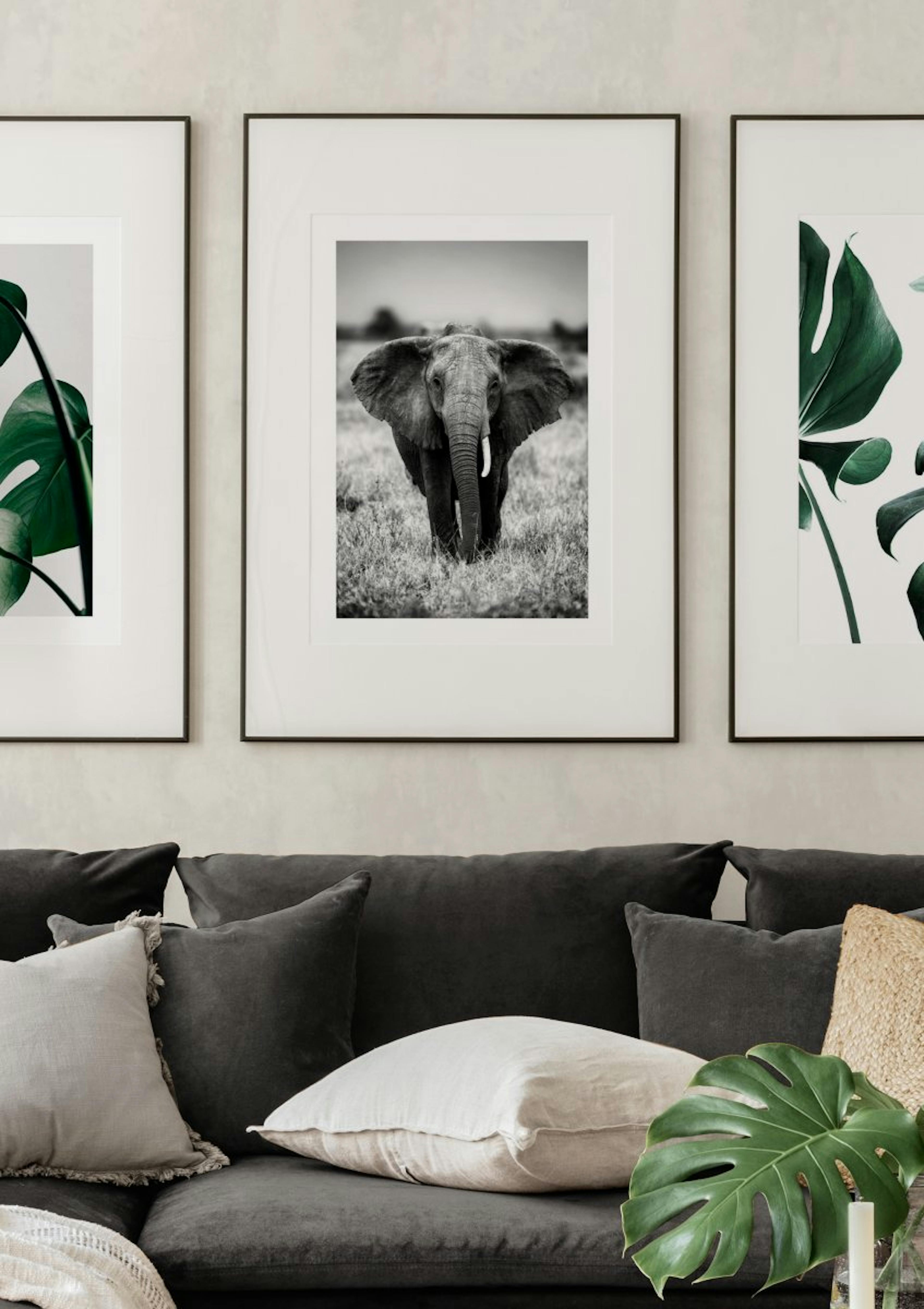Elephant in the Wild Poster thumbnail