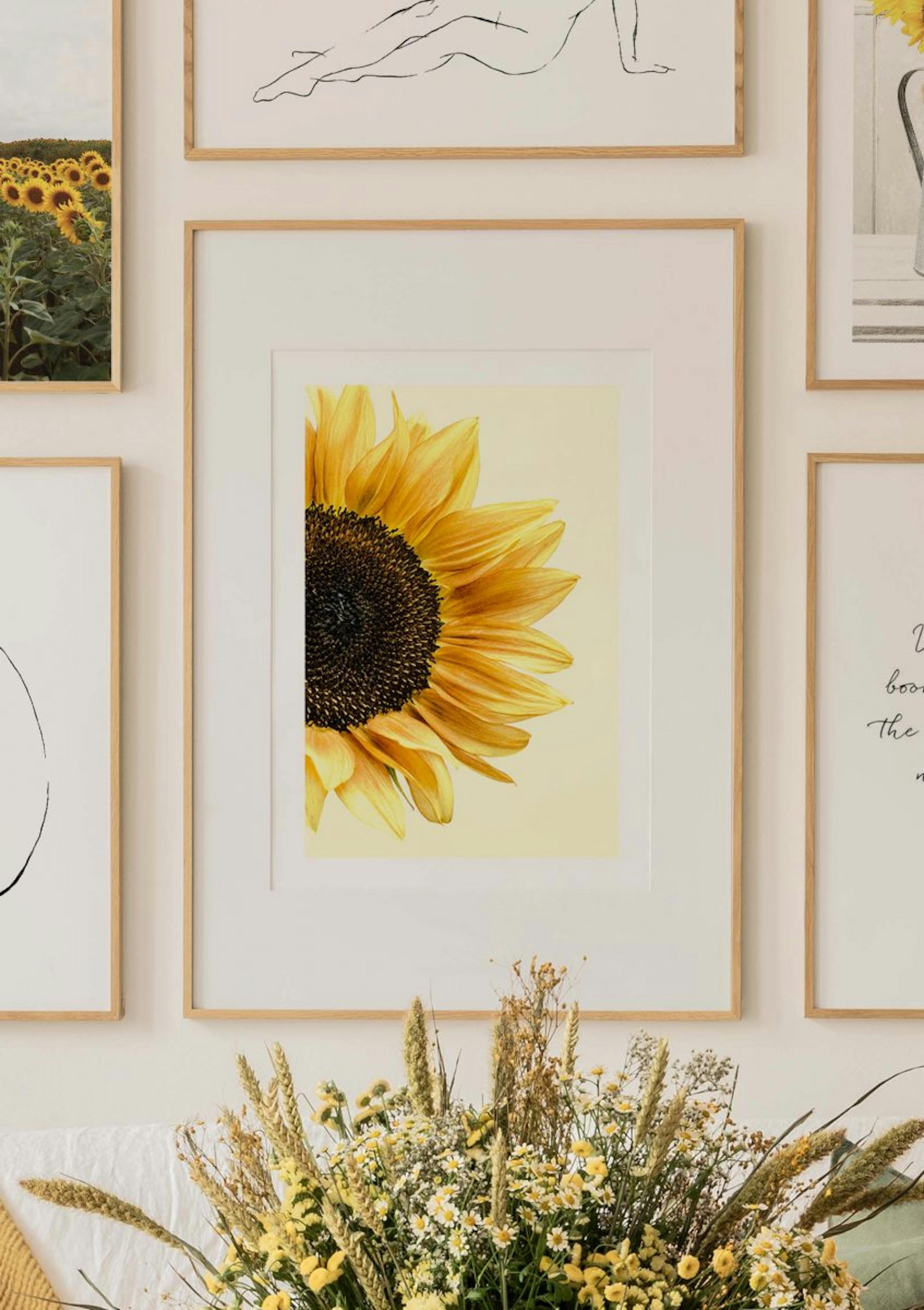 Sunflower Poster thumbnail
