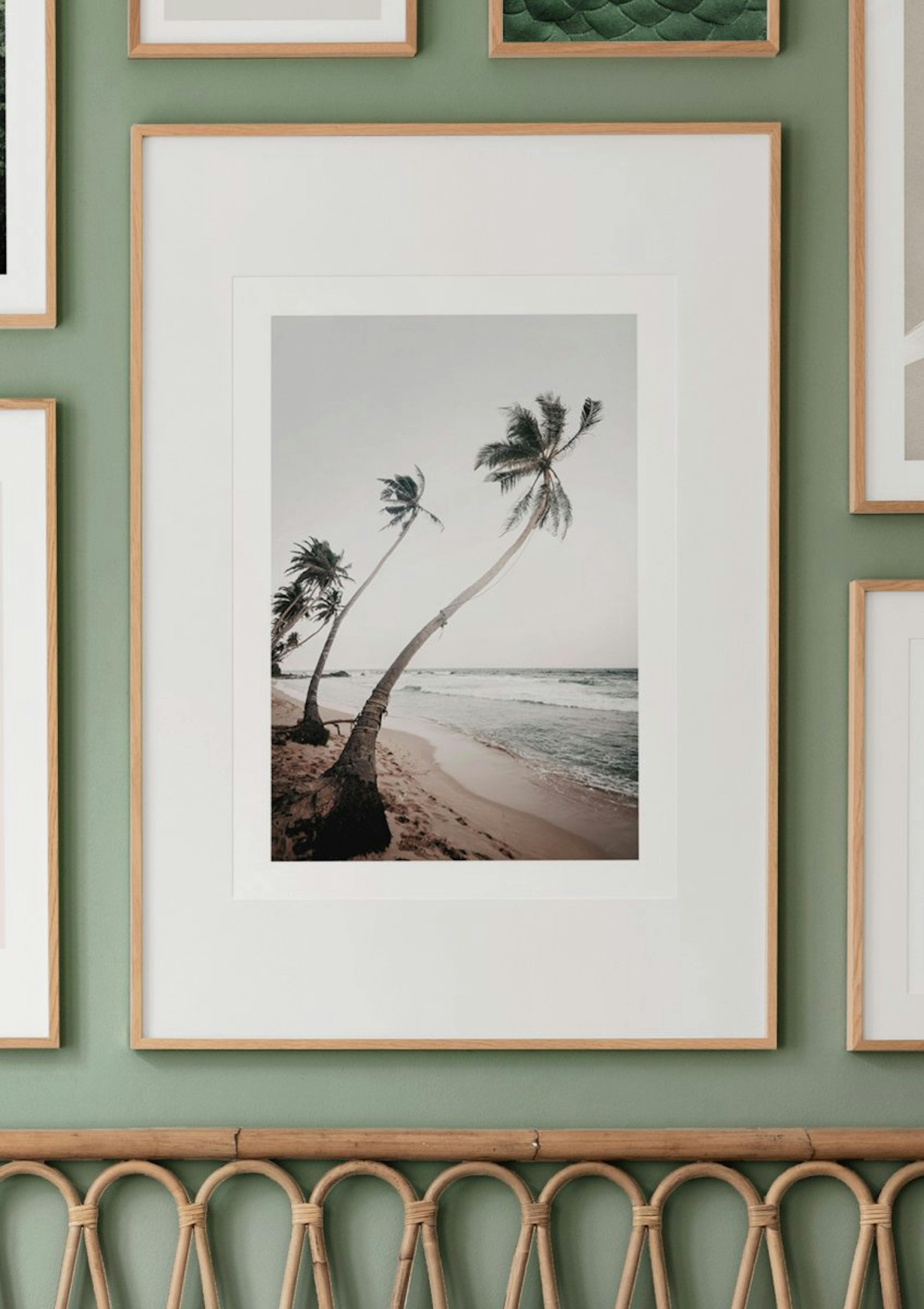 Sri Lanka Palms Poster thumbnail