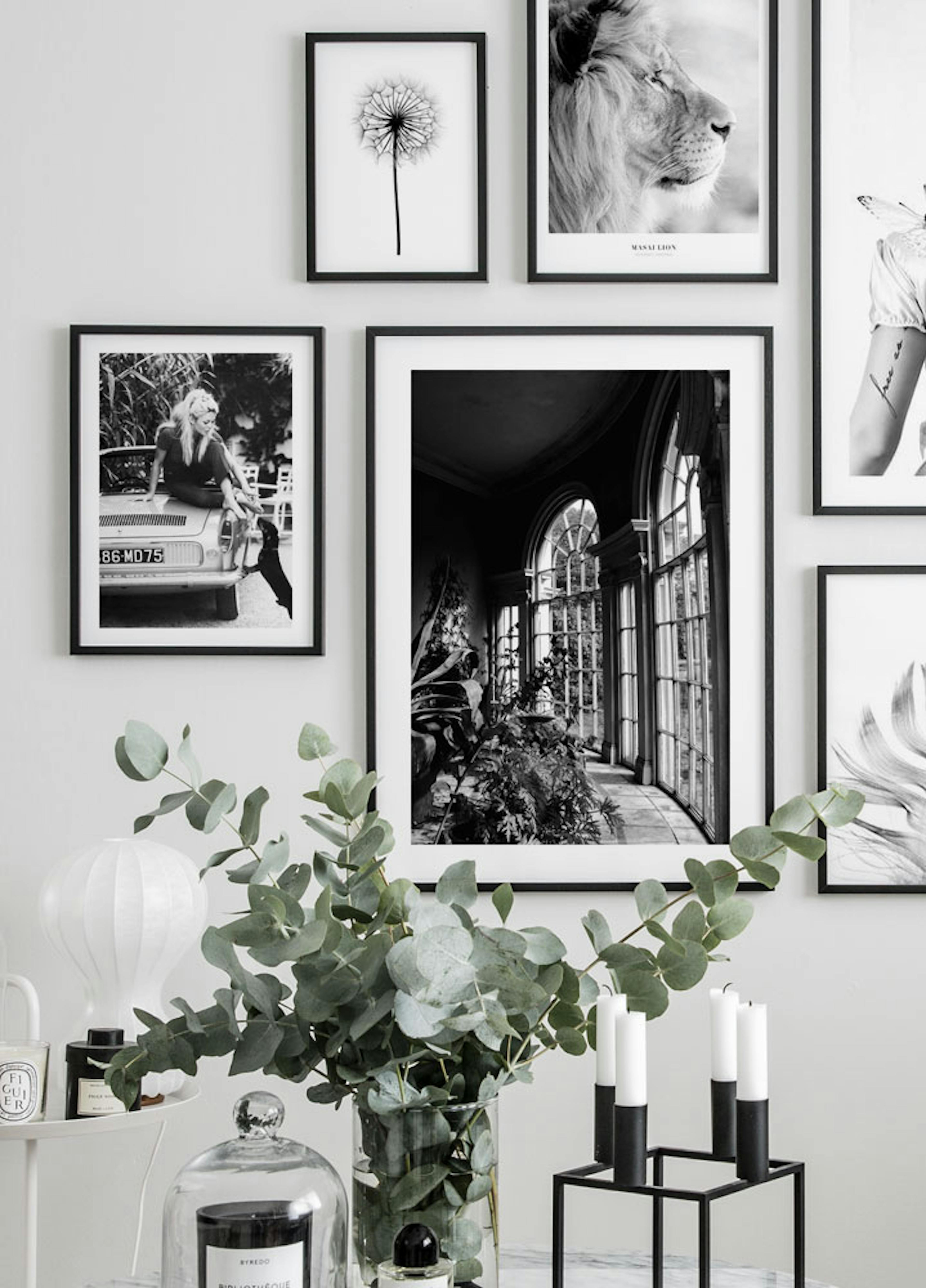 Greenhouse Windows Poster thumbnail