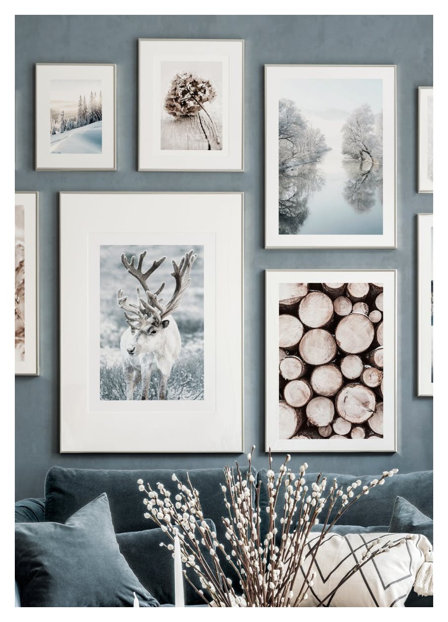 Dried Hydrangea Flower Poster (50x70 cm) - Poster Store