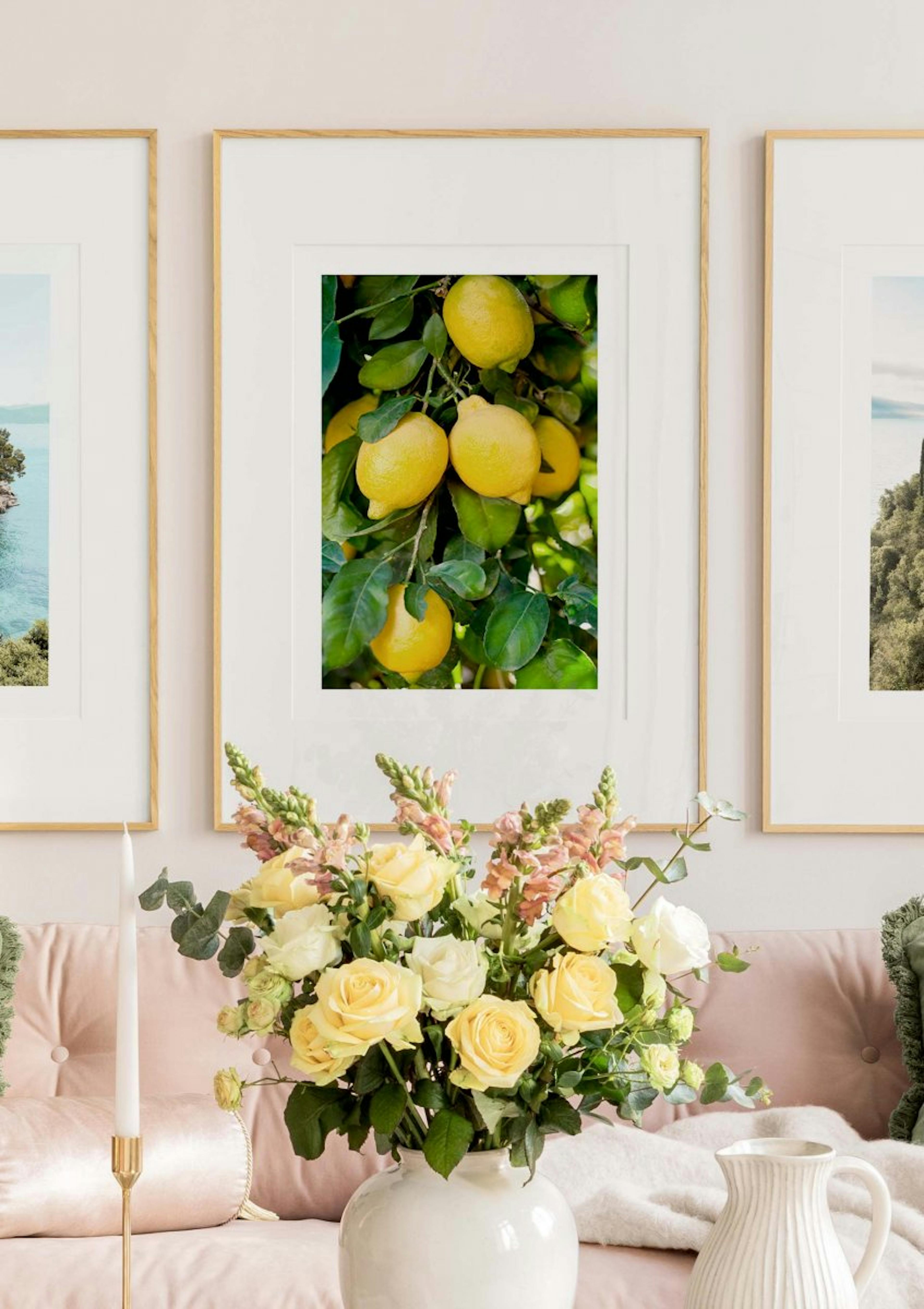Albero di Limoni Poster thumbnail