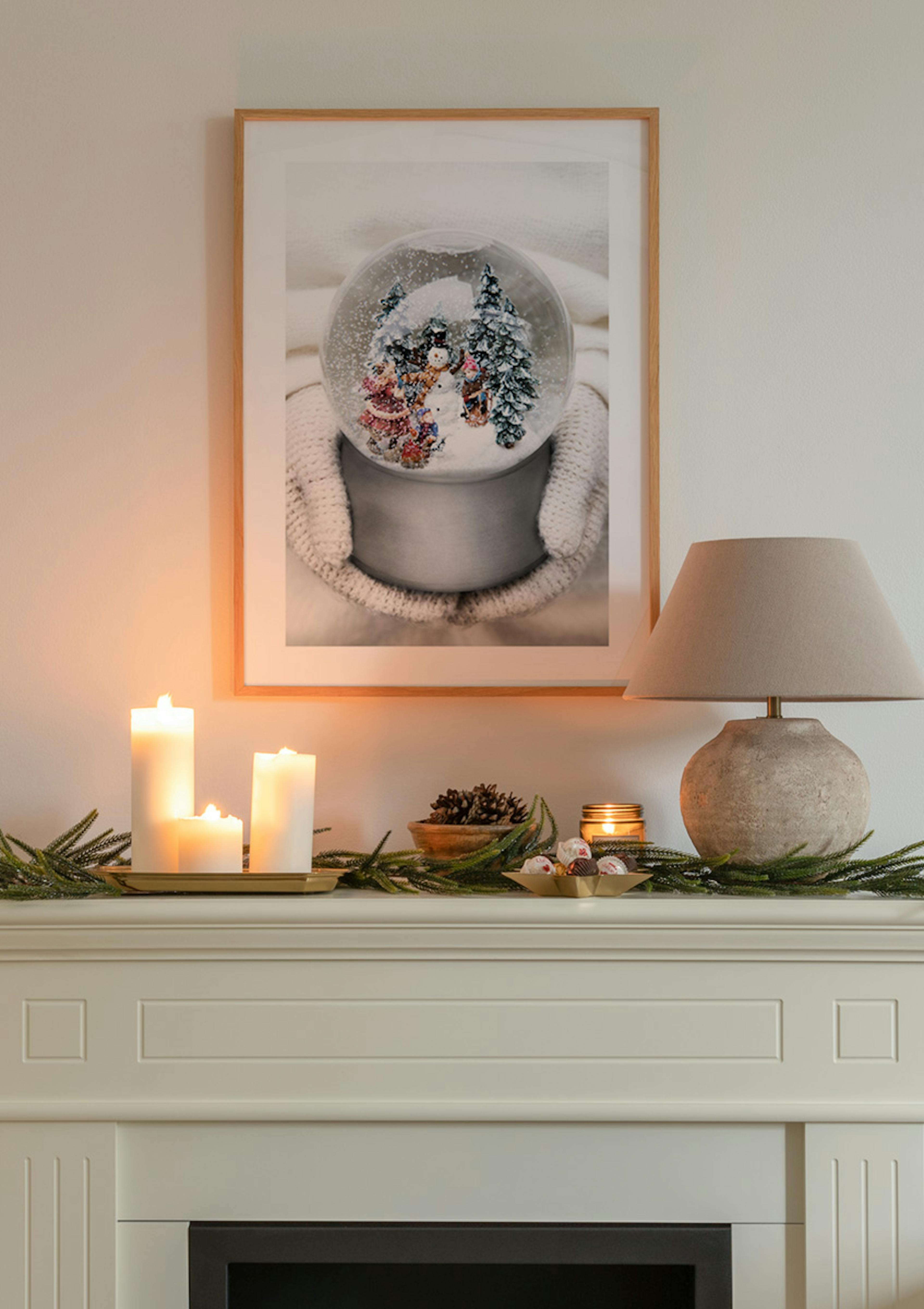 Silver Snow Globe Poster thumbnail