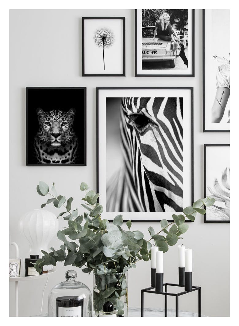 Zebra Stripes Poster (21x30 cm) - Poster Store