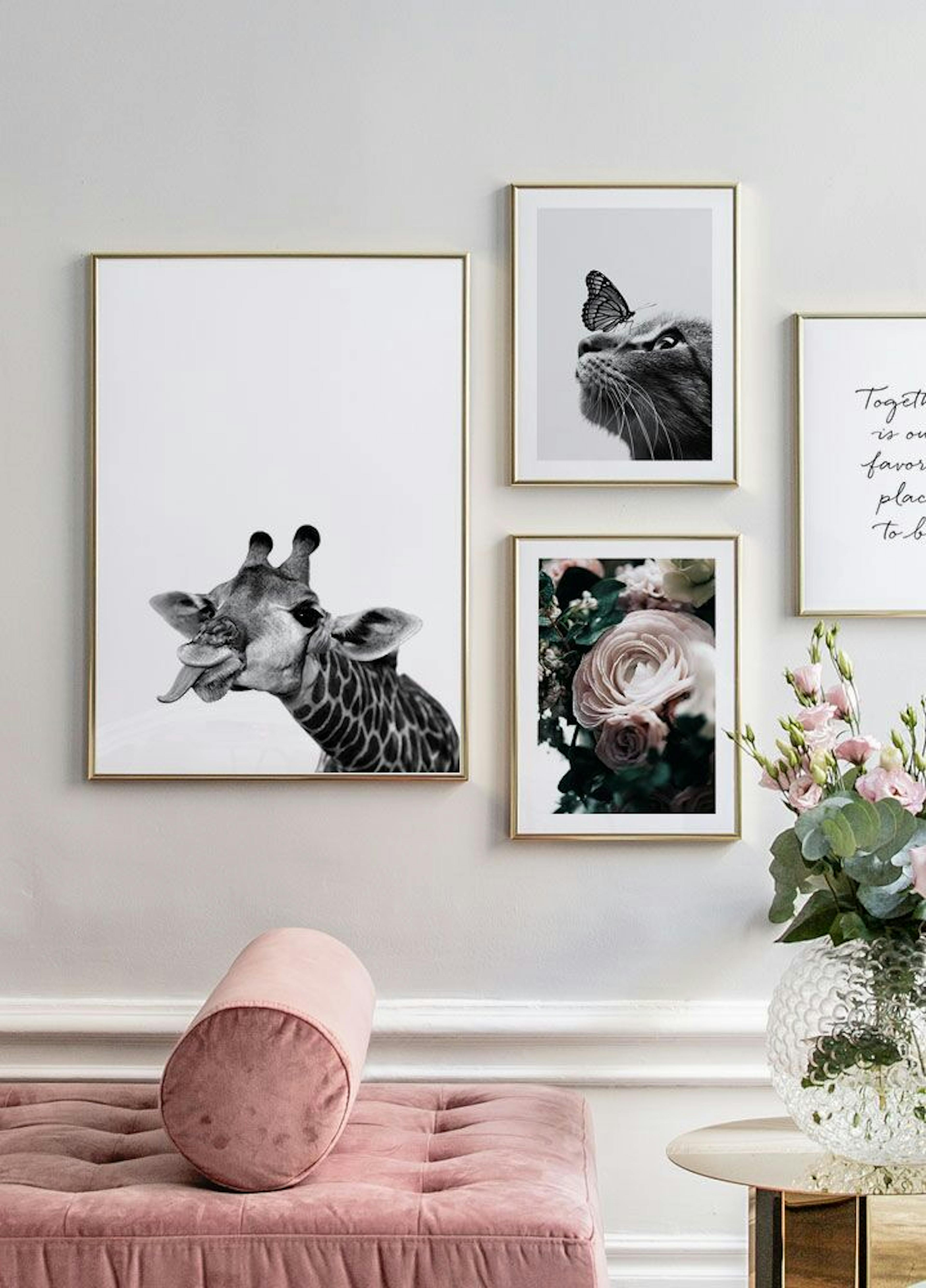 Funny Giraffe Poster thumbnail