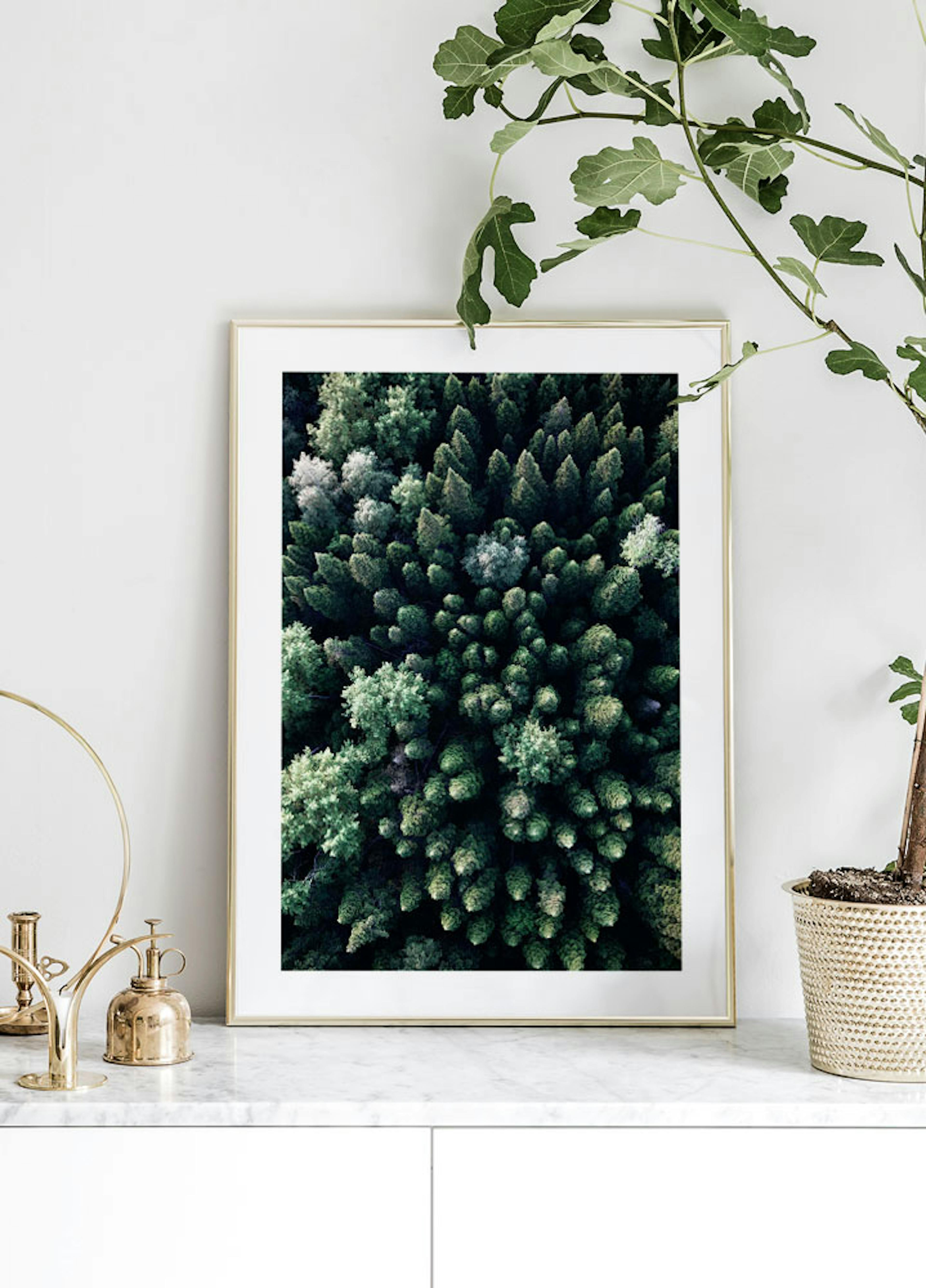 Forest From Above Poster thumbnail