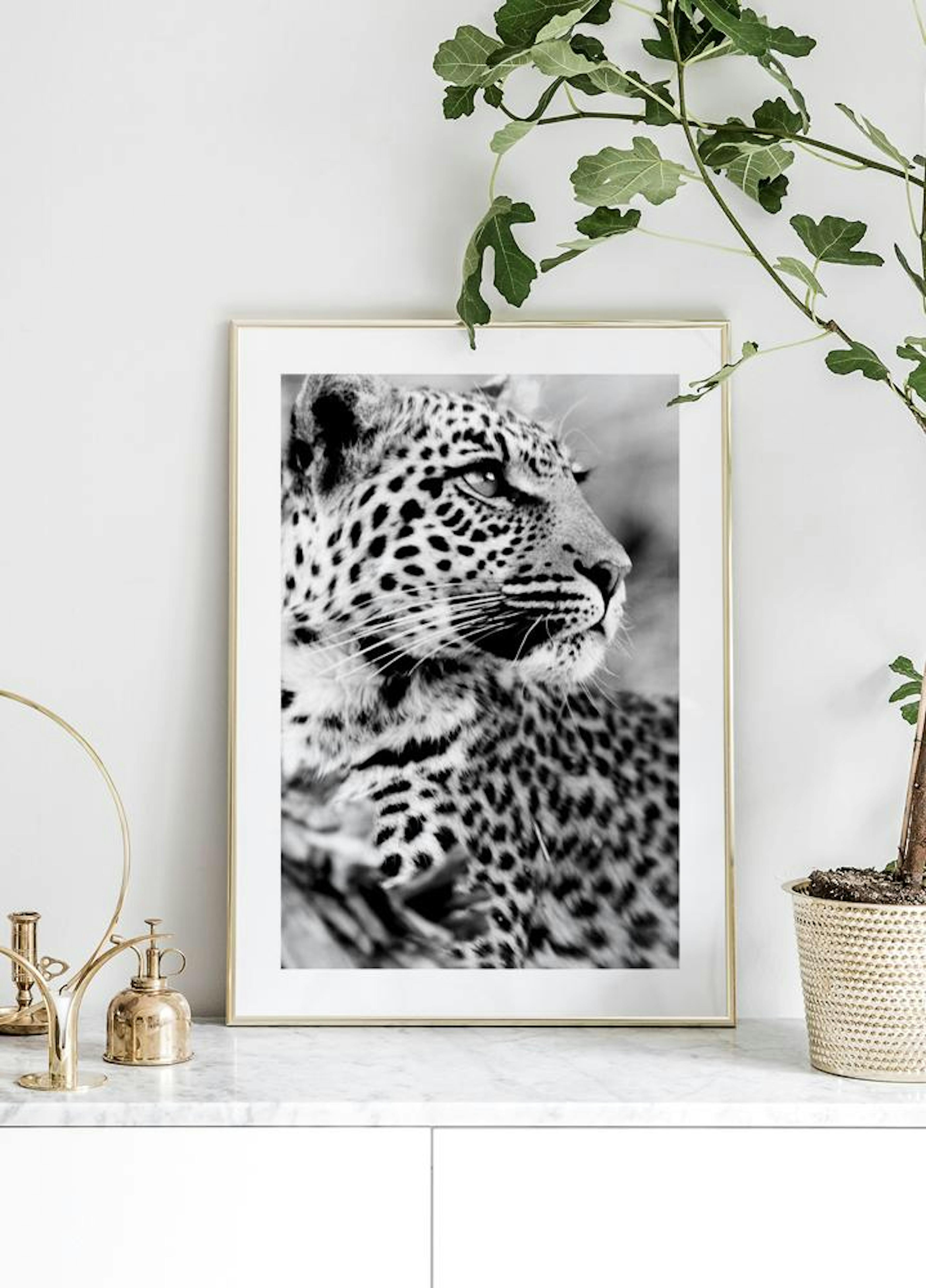 Snow leopard Poster thumbnail