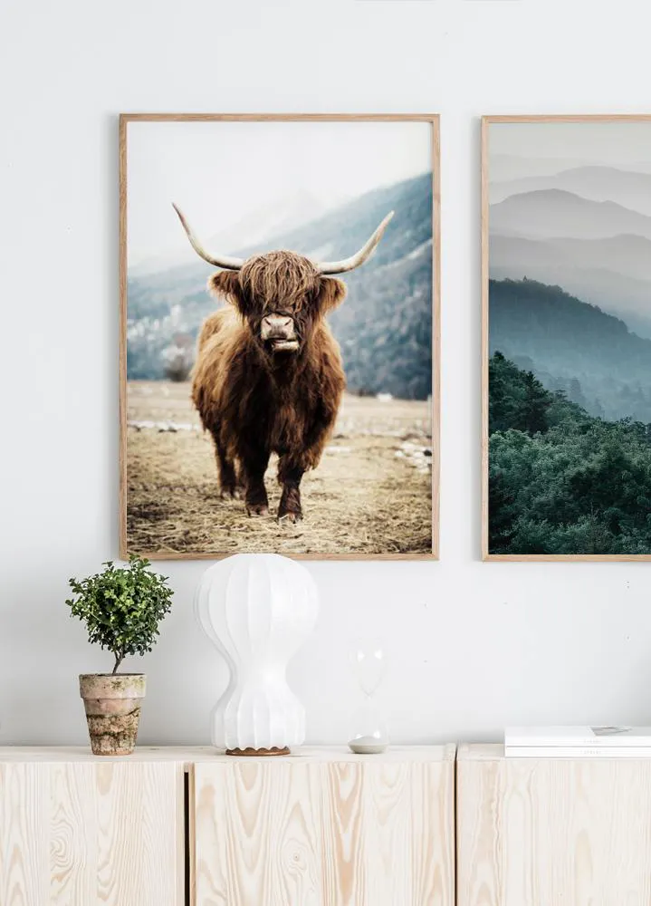 Highland Vaca Enmarcada - México