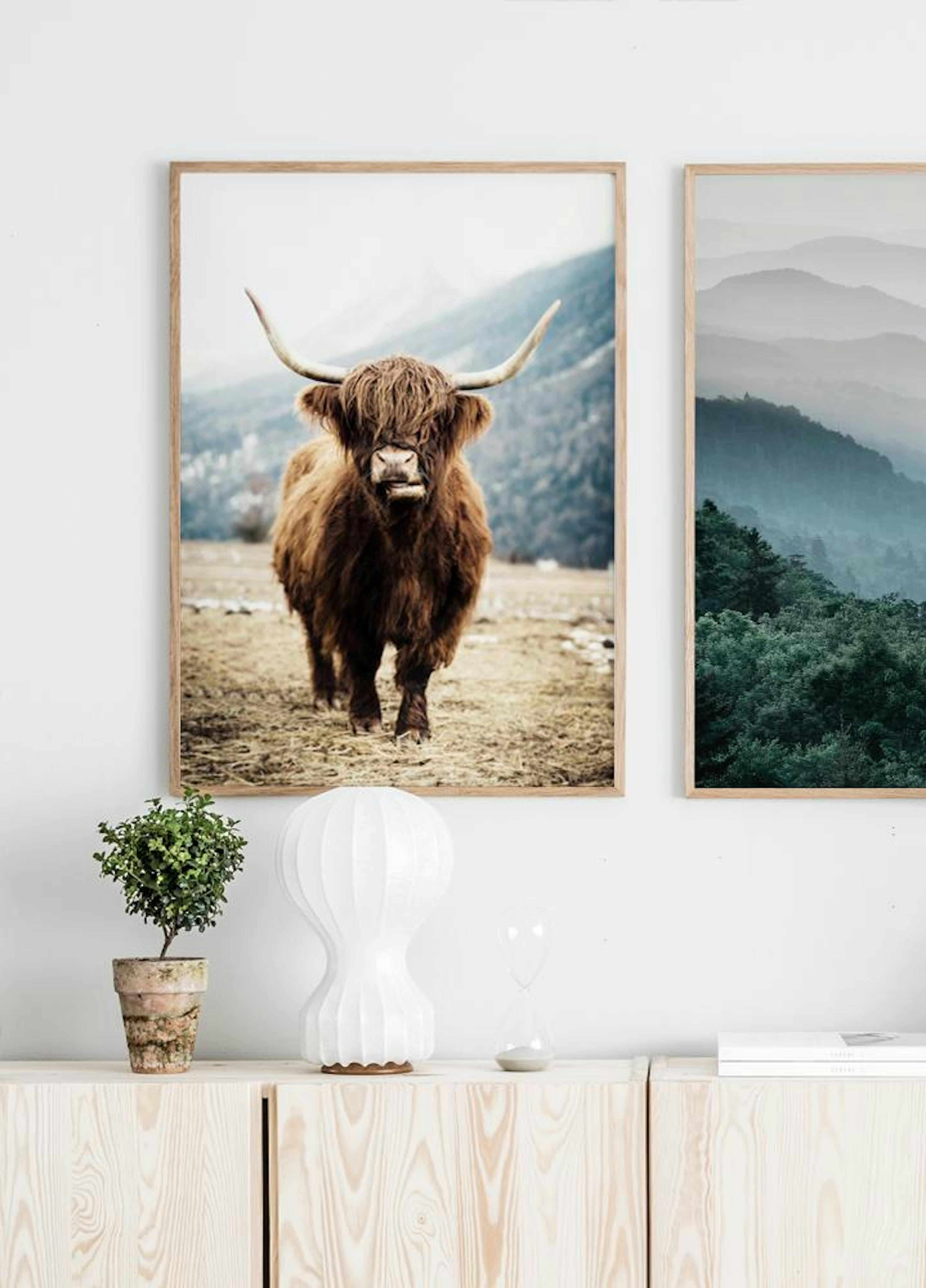 Highland Cow Poster thumbnail