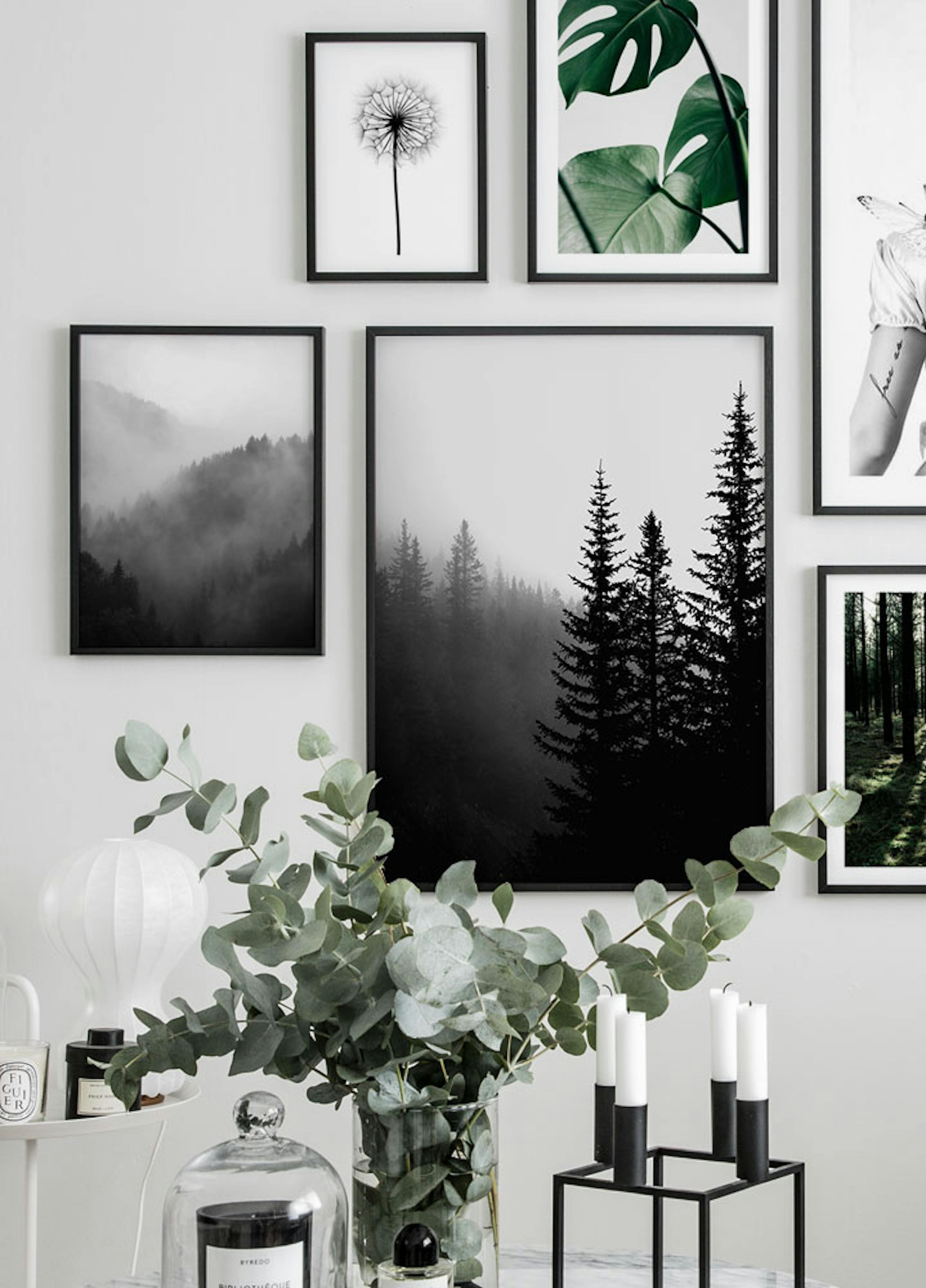 Dark Forest Plakat thumbnail