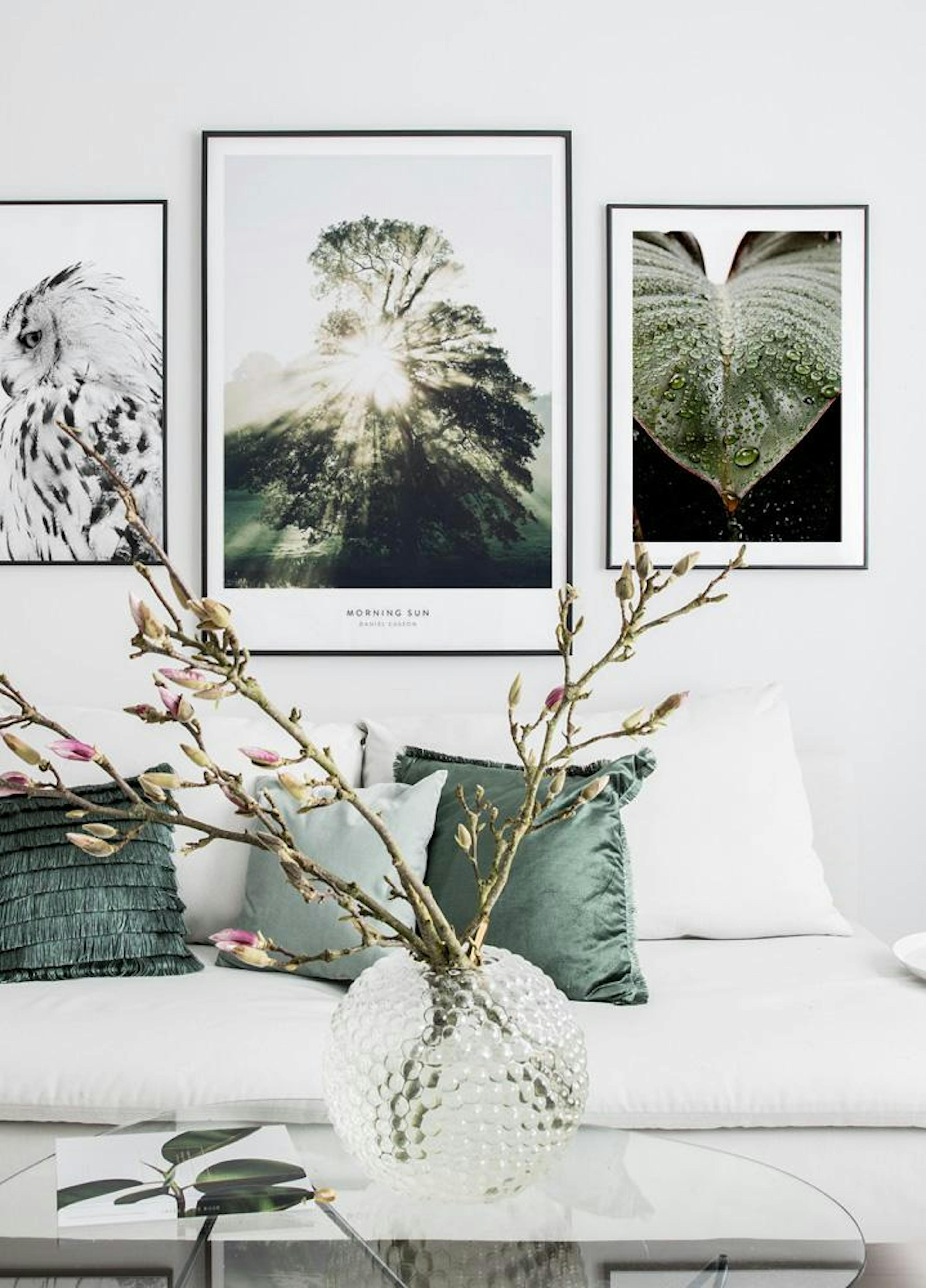 Leaf Droplets. Poster thumbnail