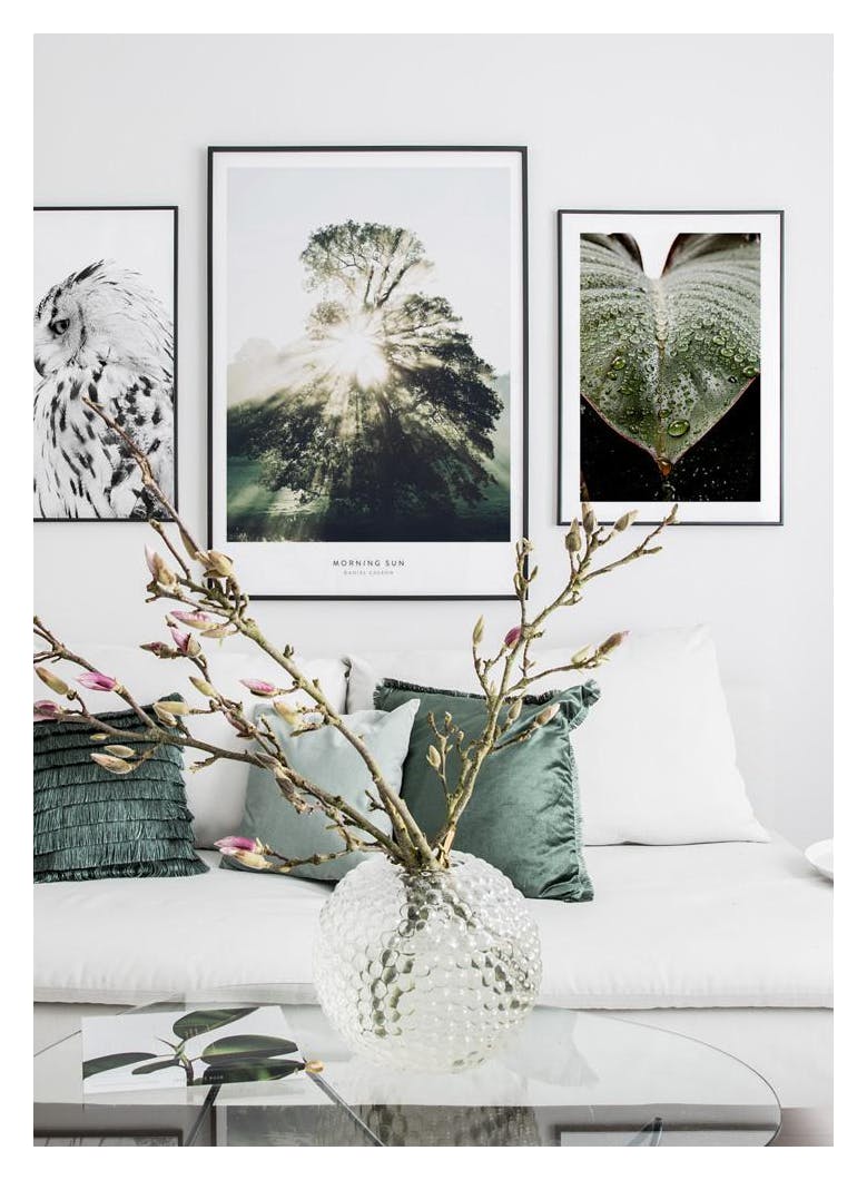 Leaf Droplets Poster (30x40 cm) - Poster Store