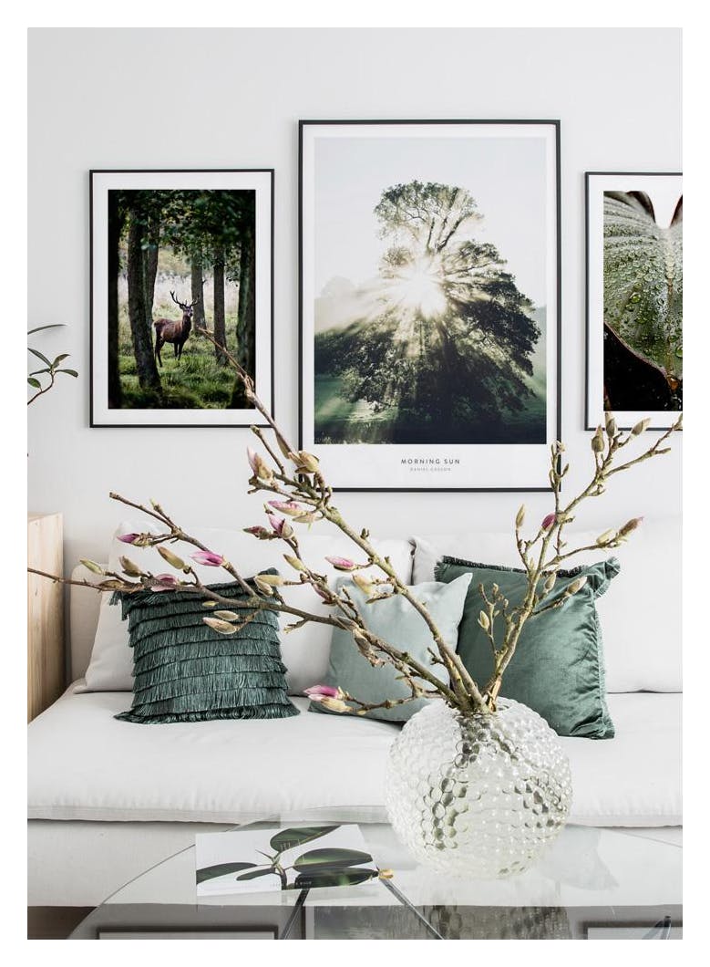 Stag Poster (50x70 cm) - Poster Store