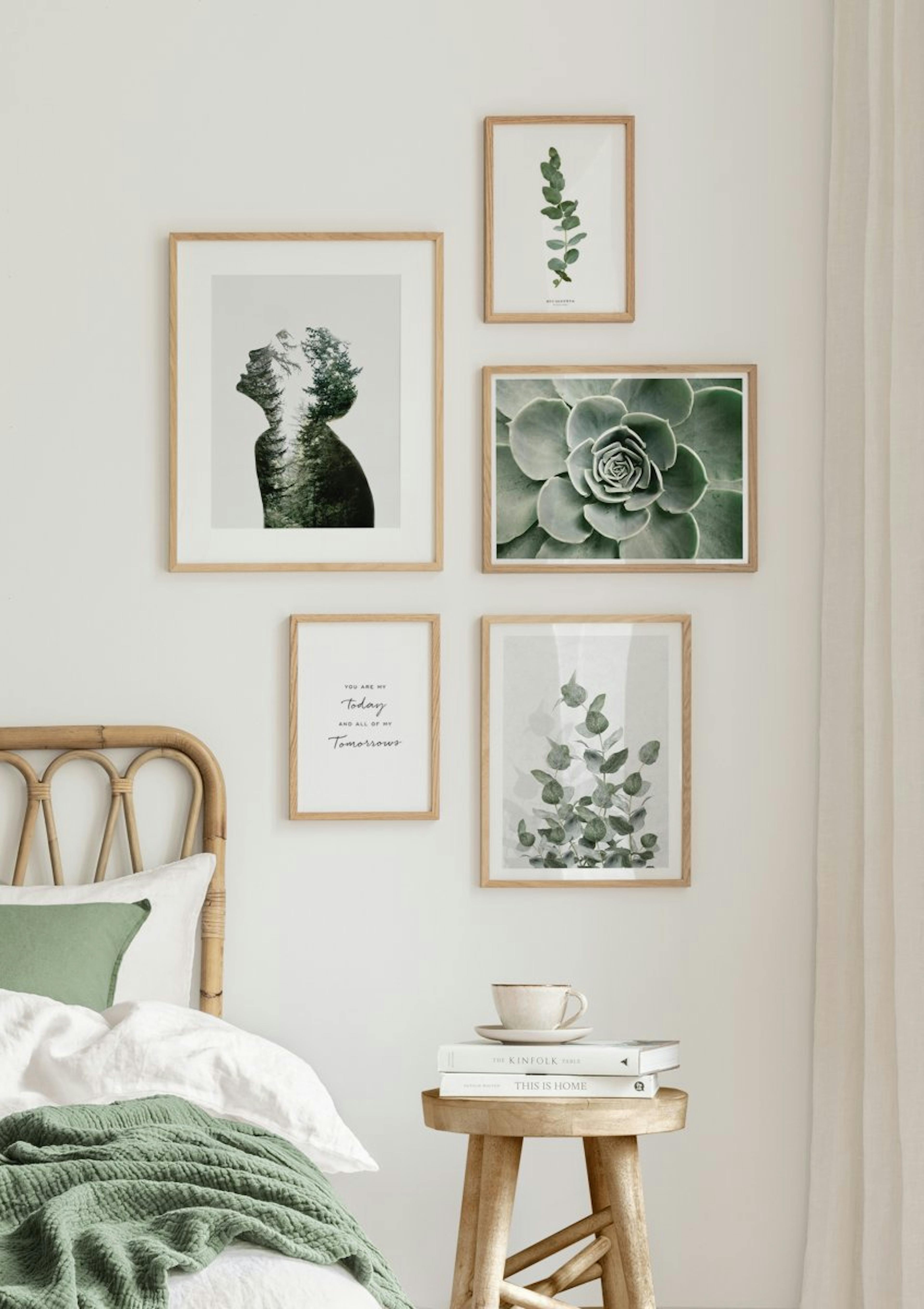 Flower Cactus Poster thumbnail