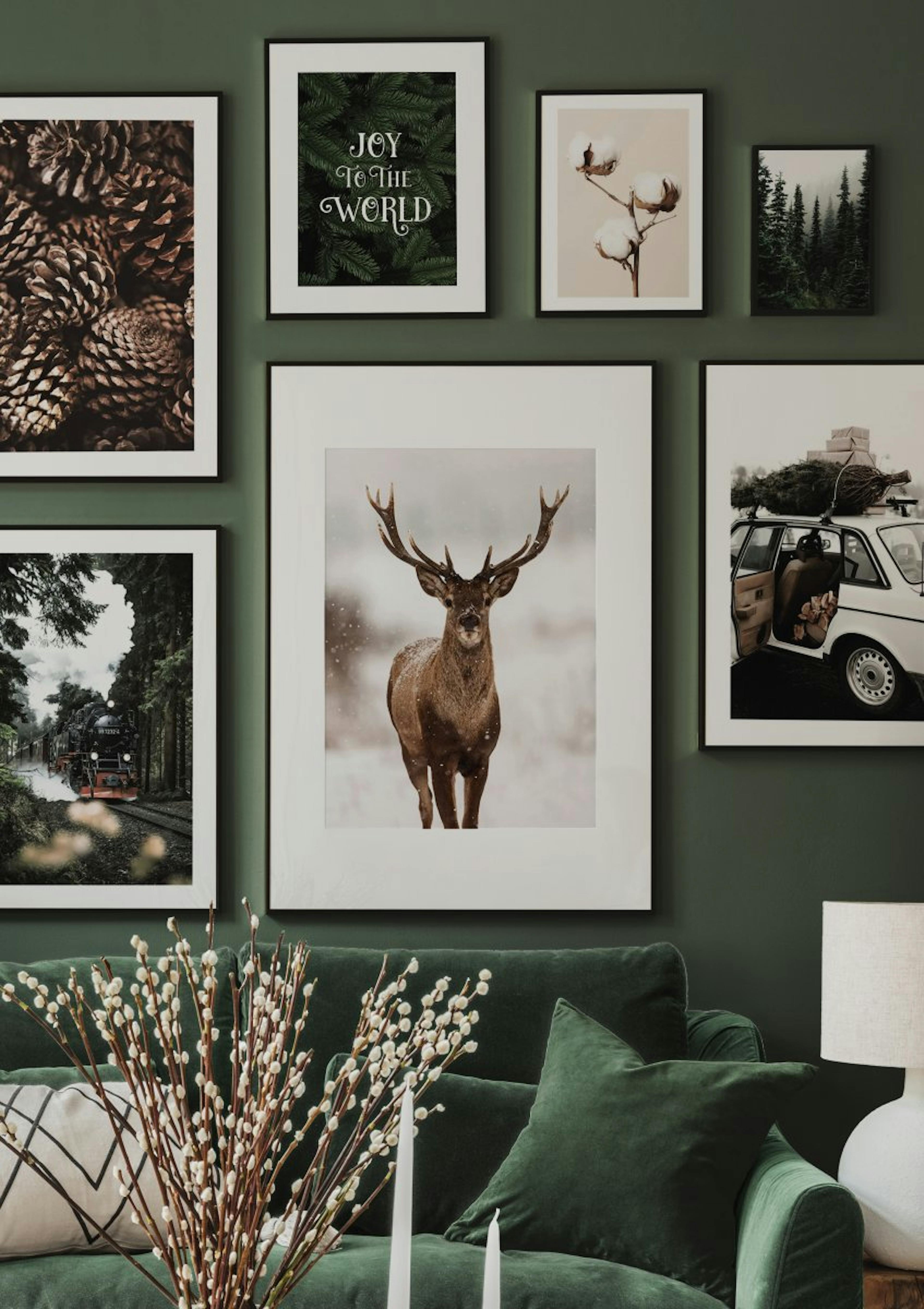 Pine Cones Poster thumbnail