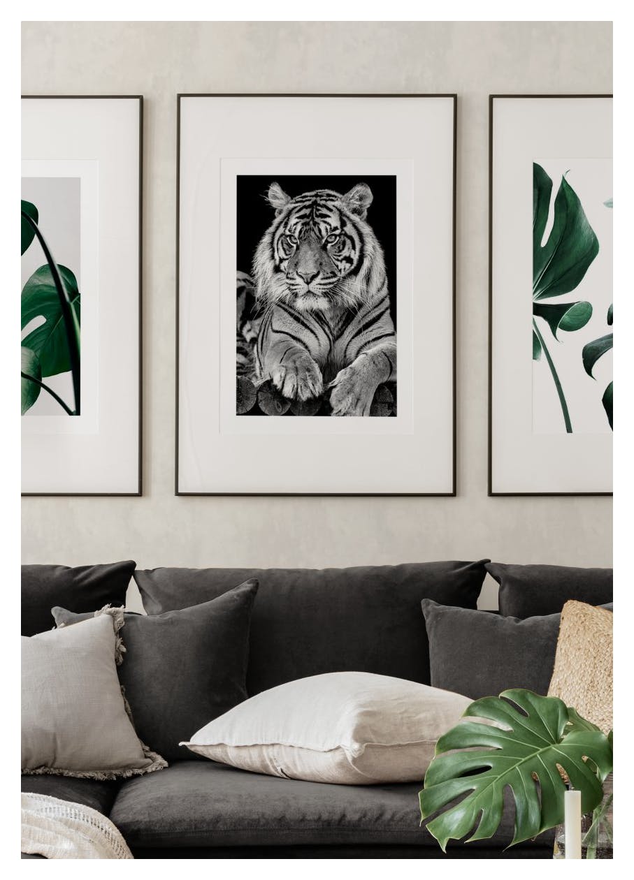 Tiger Portrait Poster (50x70 cm) - Poster Store