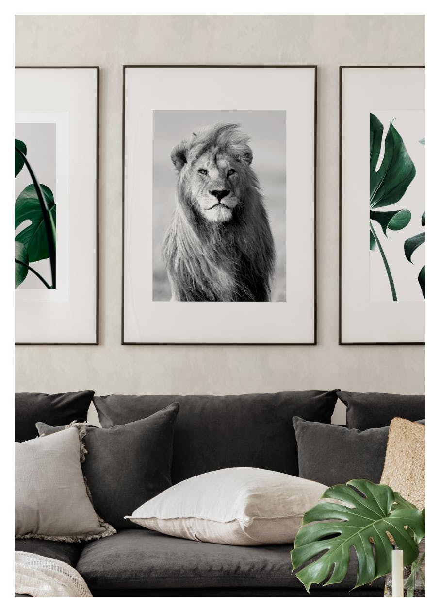 Majestic Lion Poster (21x30 cm) - Poster Store