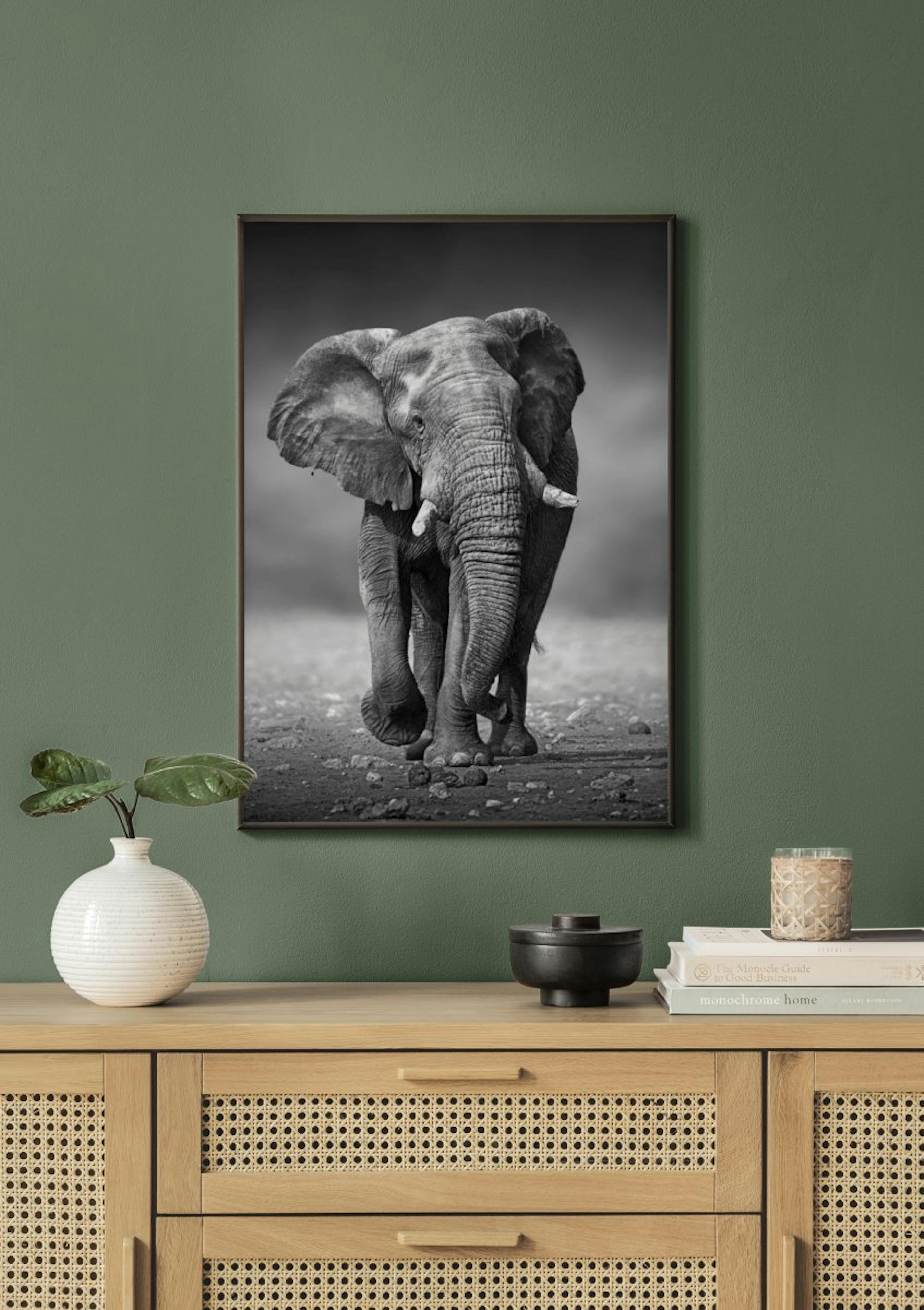 À pas d'Élephant. Poster thumbnail