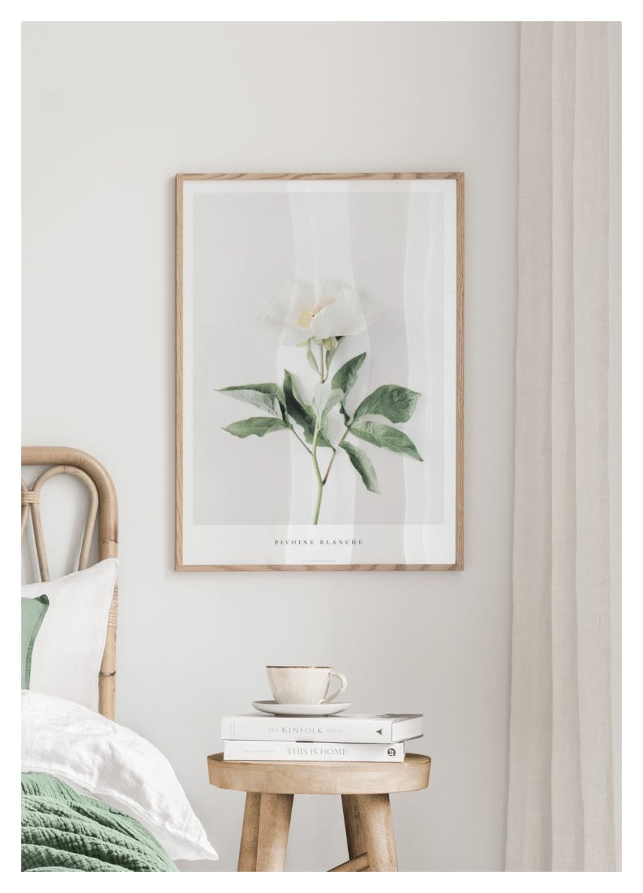 White Peony Poster (30x40 cm) - Poster Store