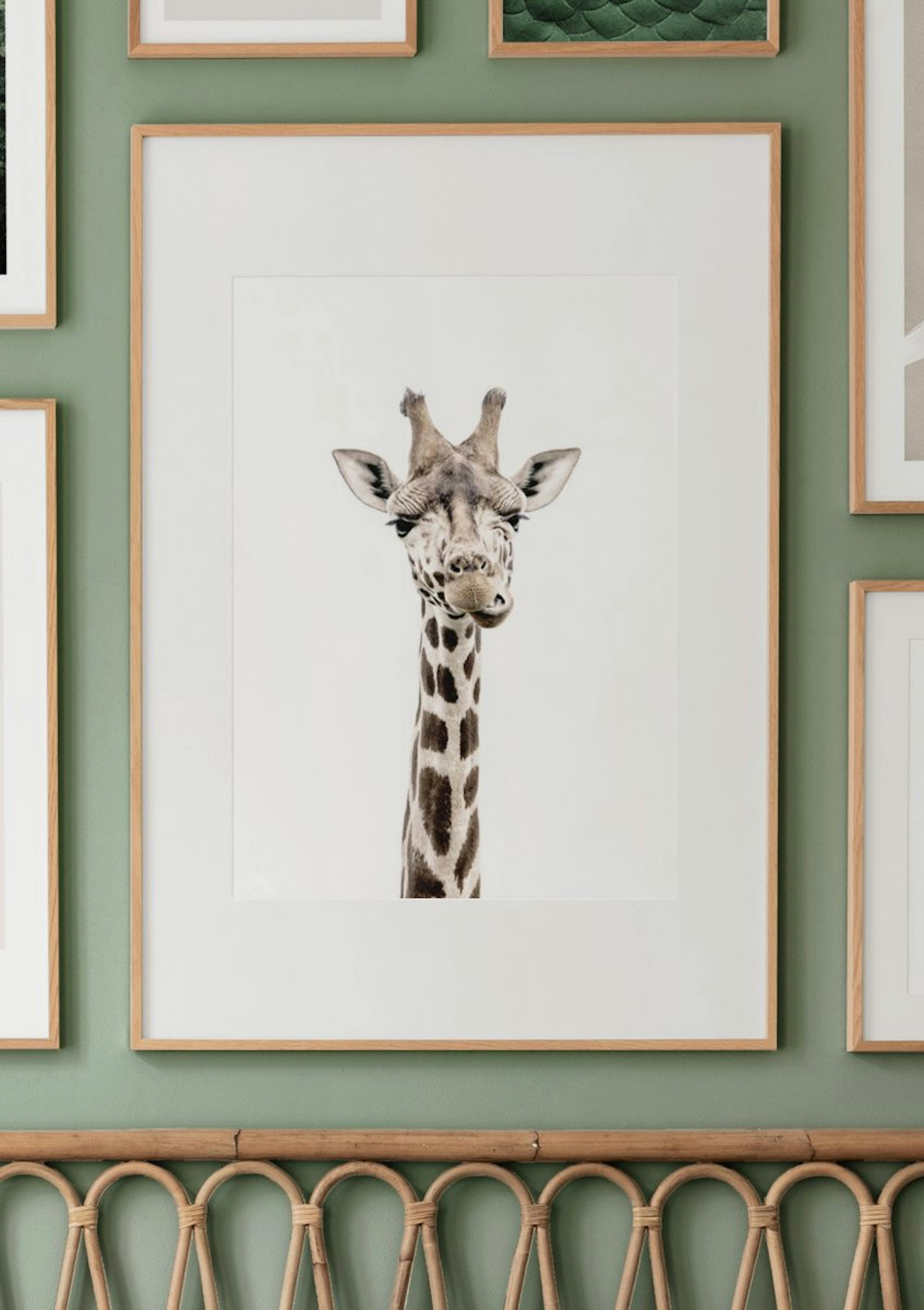 Giraffe Poster thumbnail