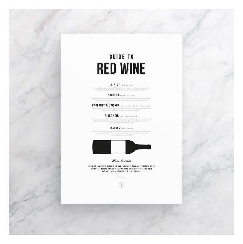 Guide to Red Wine Poster (50x70 cm) - Poster Store