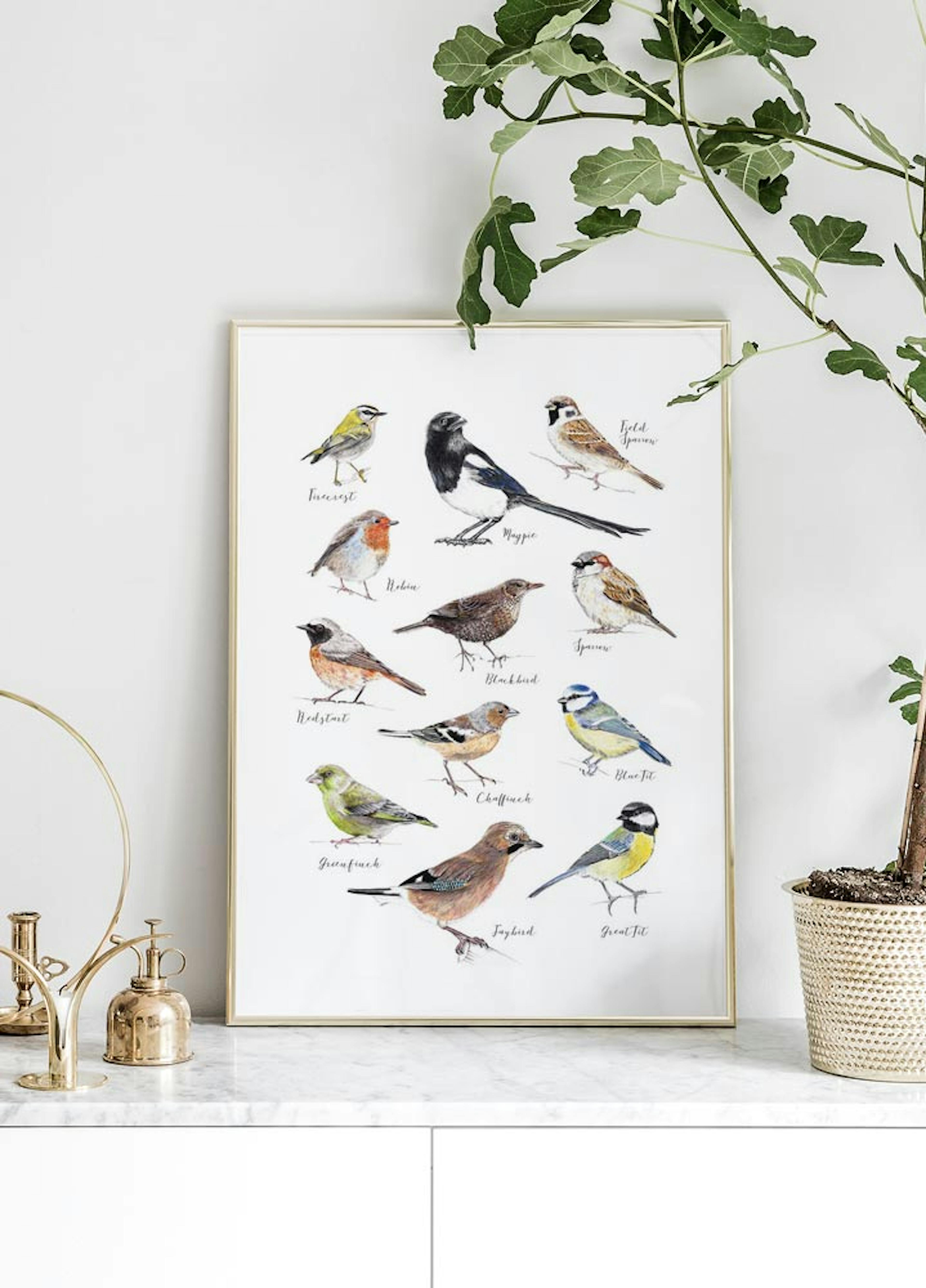 Birds Plakat thumbnail