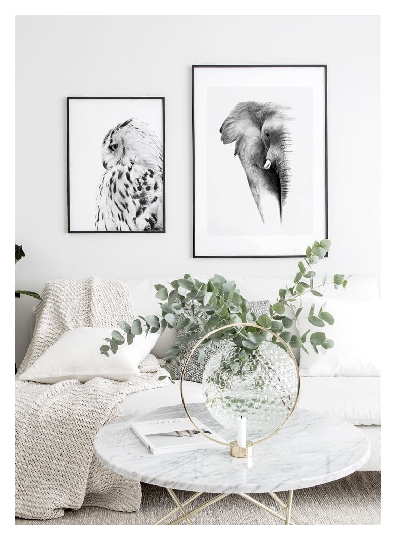 Owl Poster (70x100 cm) - Poster Store