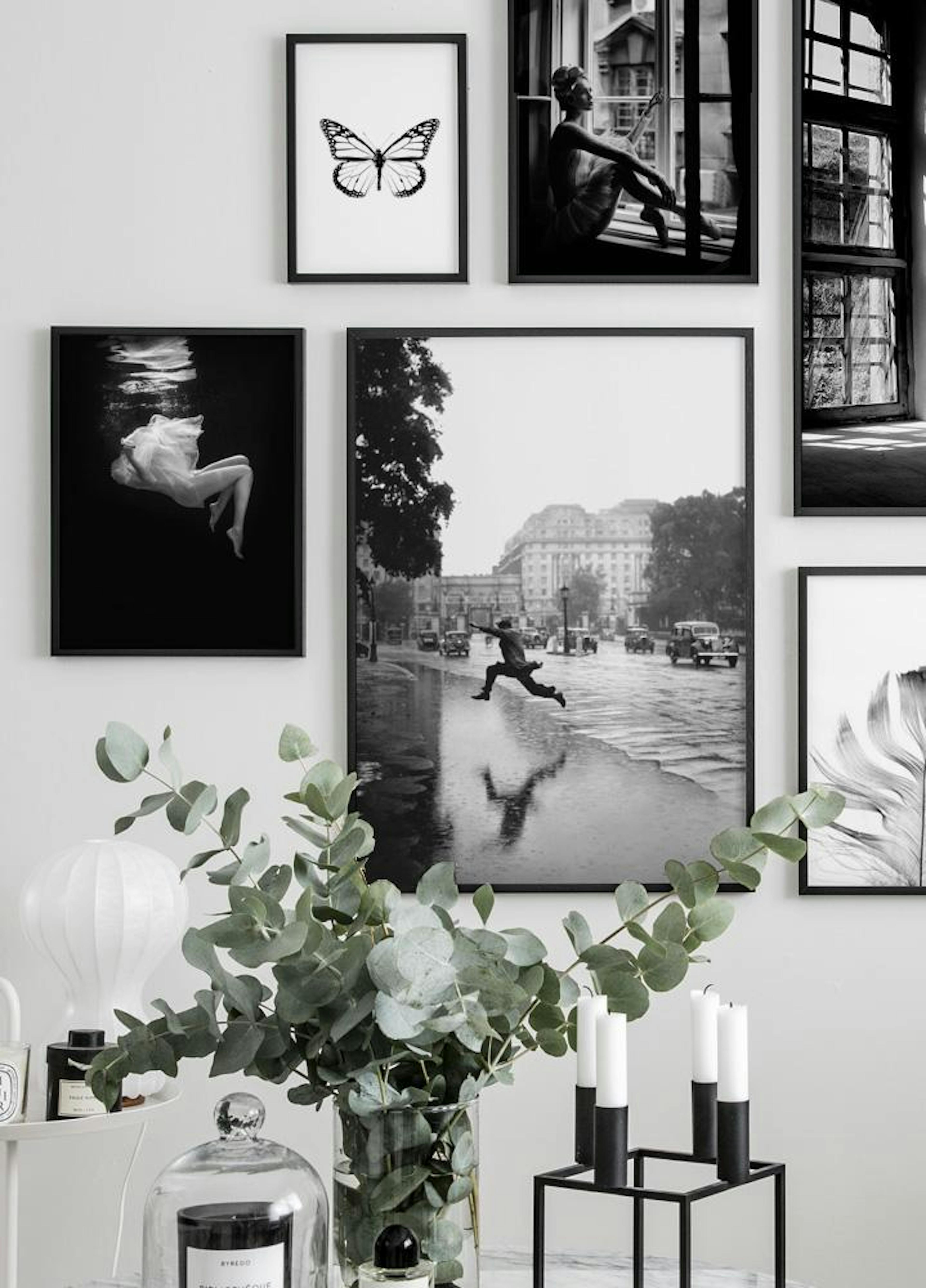 Sommerfugl Plakat thumbnail