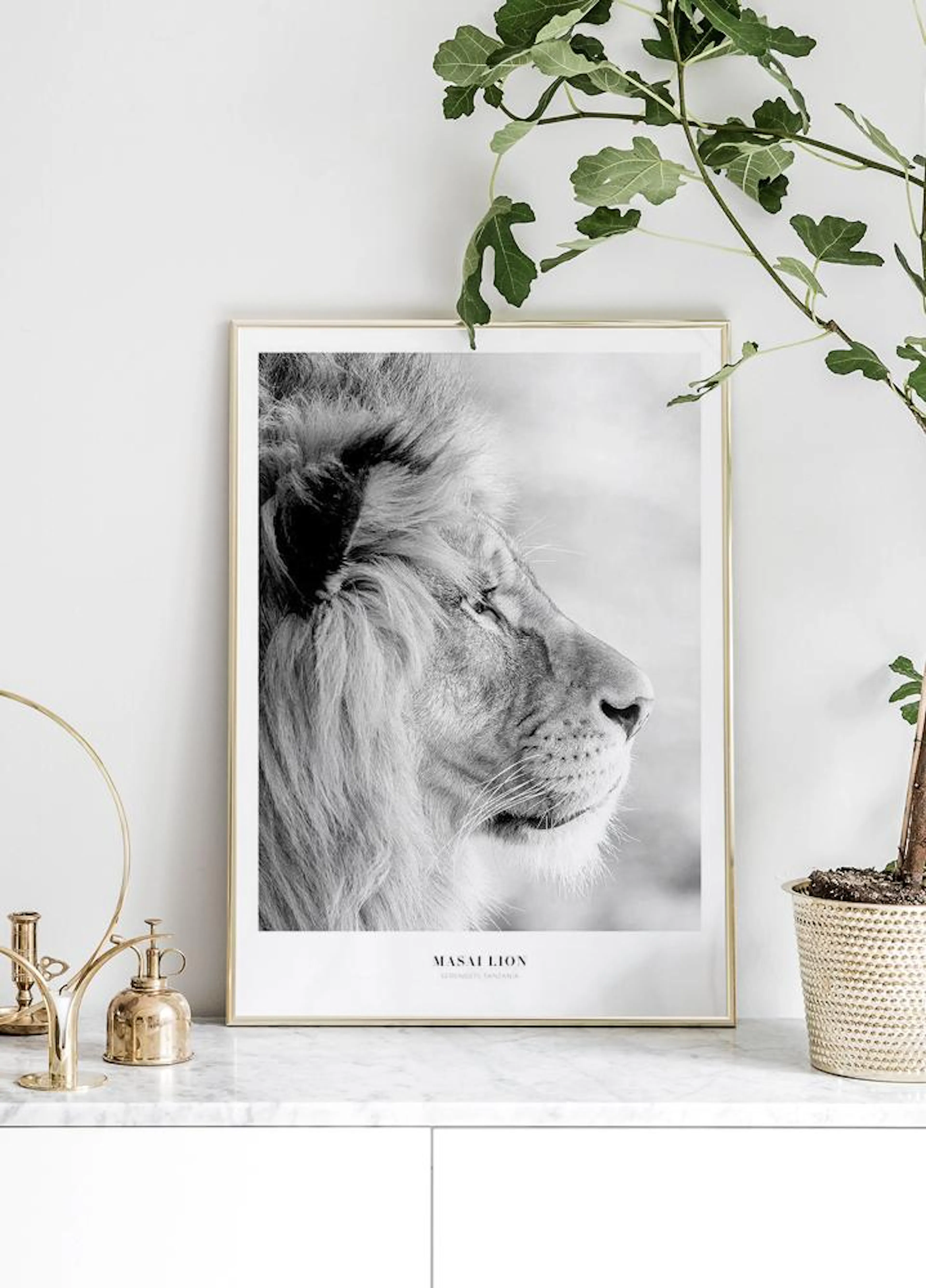 Black and white poster of a majestic lions profile, displayed on a white marble surface with a plant and brass decor.