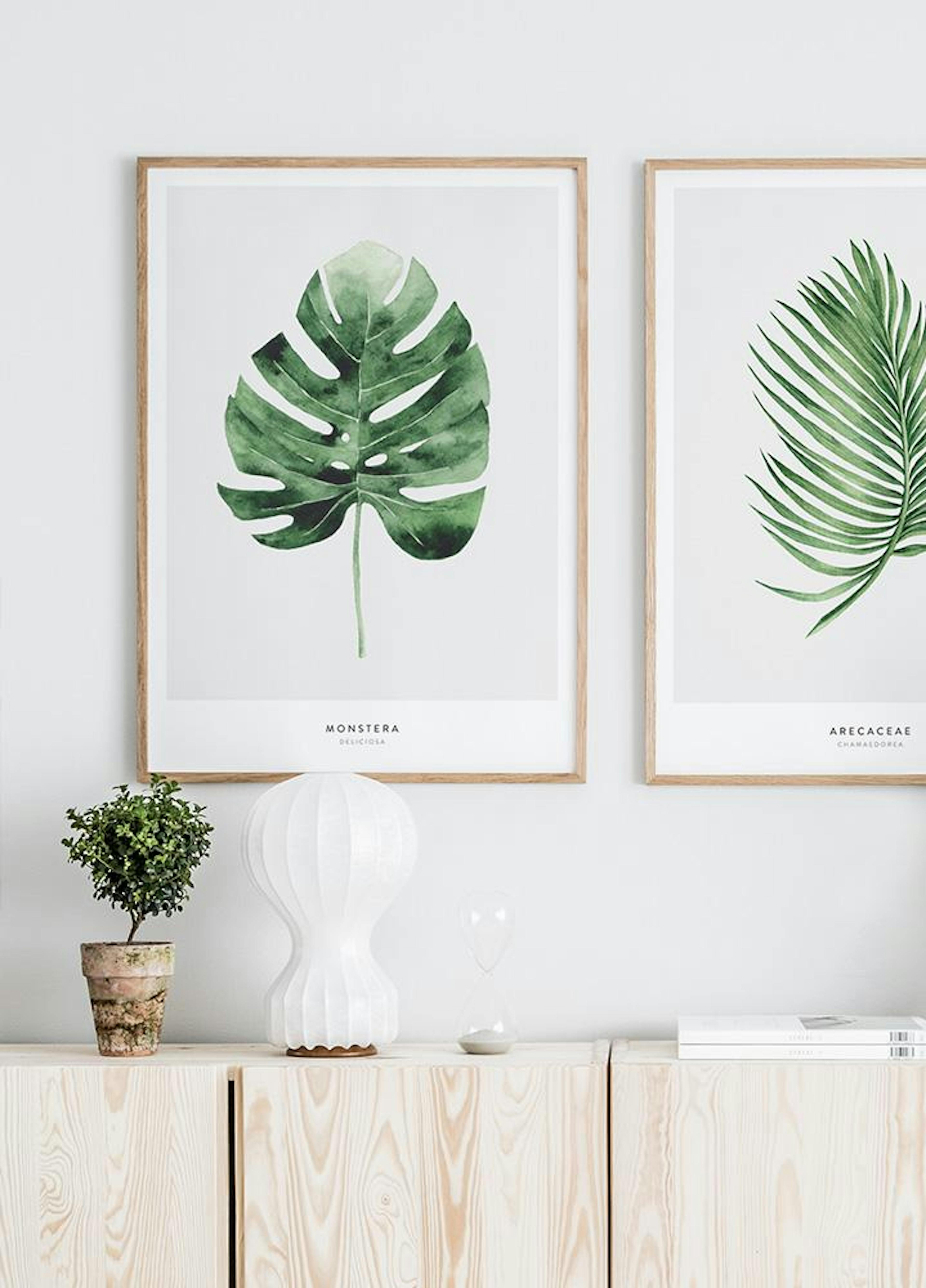 Monstera Leaf Poster thumbnail
