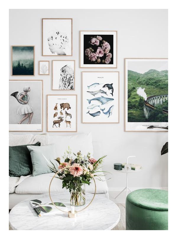 Forest Animals Poster (40x50 cm) - Poster Store