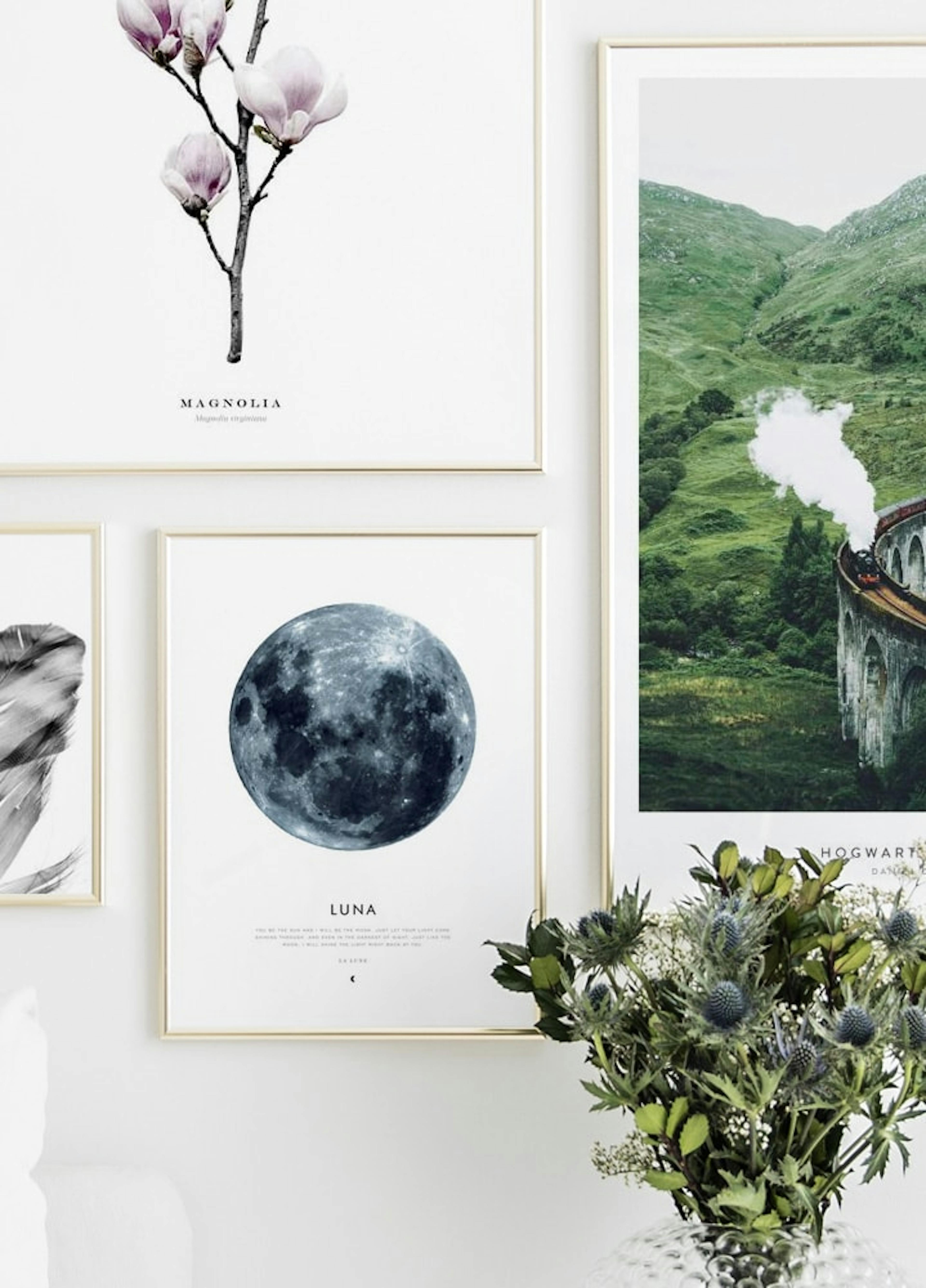 Luna Poster thumbnail