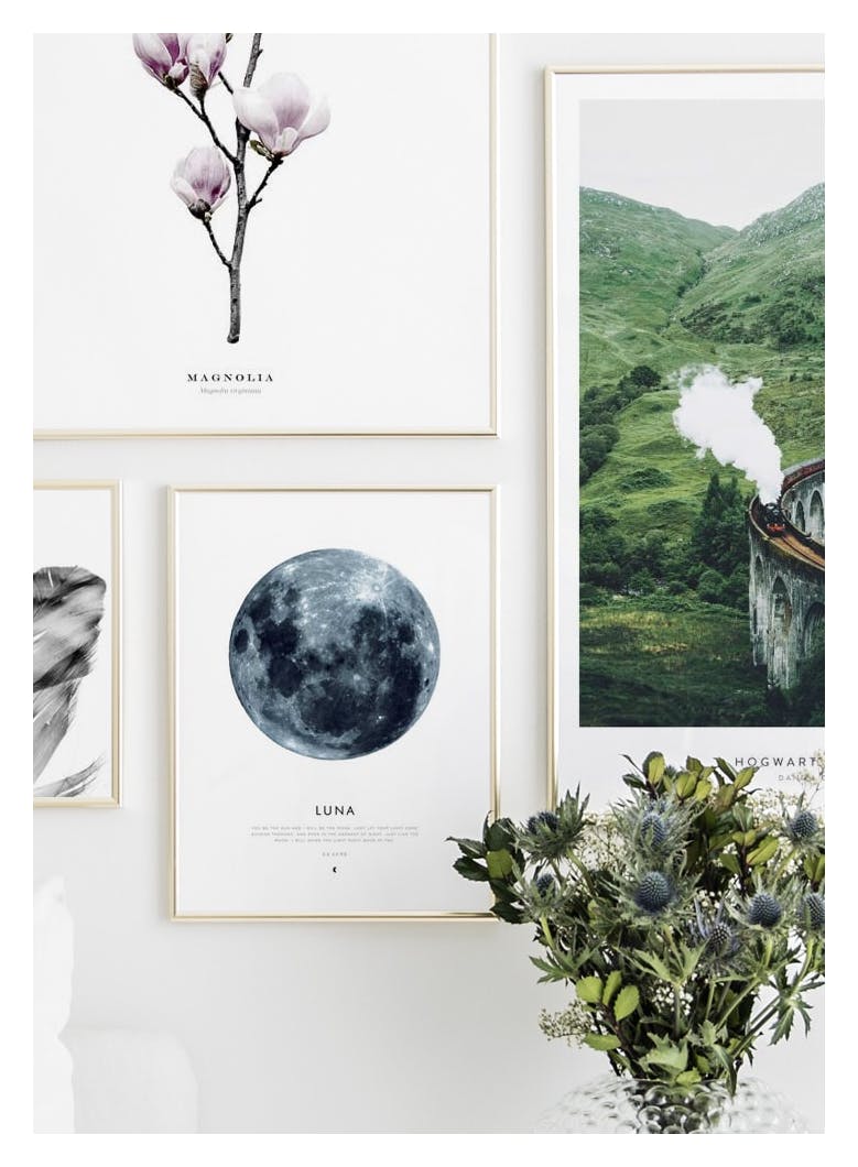 Moon Poster (40x50 cm) - Poster Store