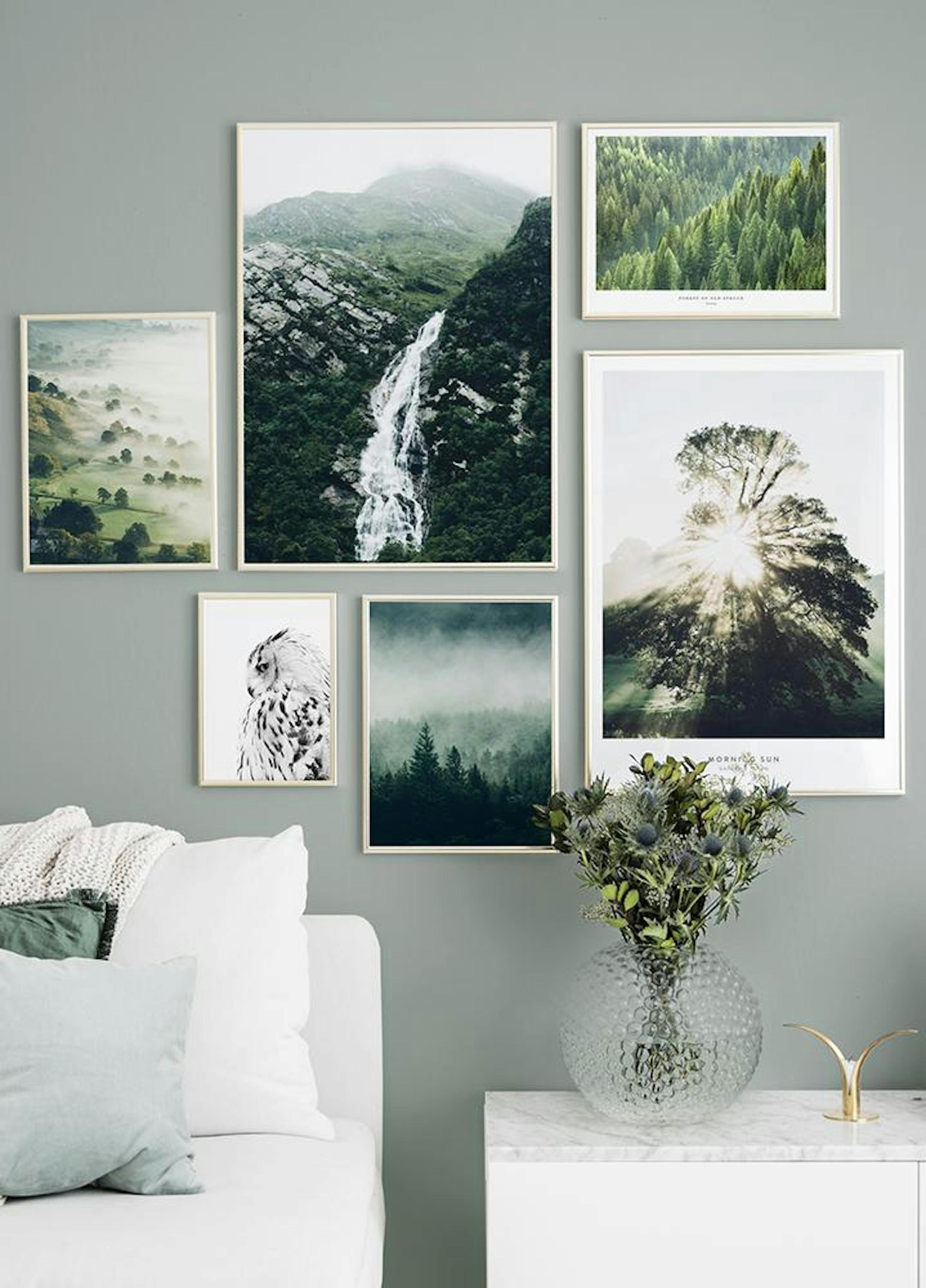 Tree Top Fog Poster thumbnail