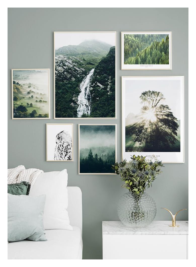 Tree Top Fog Poster (21x30 cm) - Poster Store