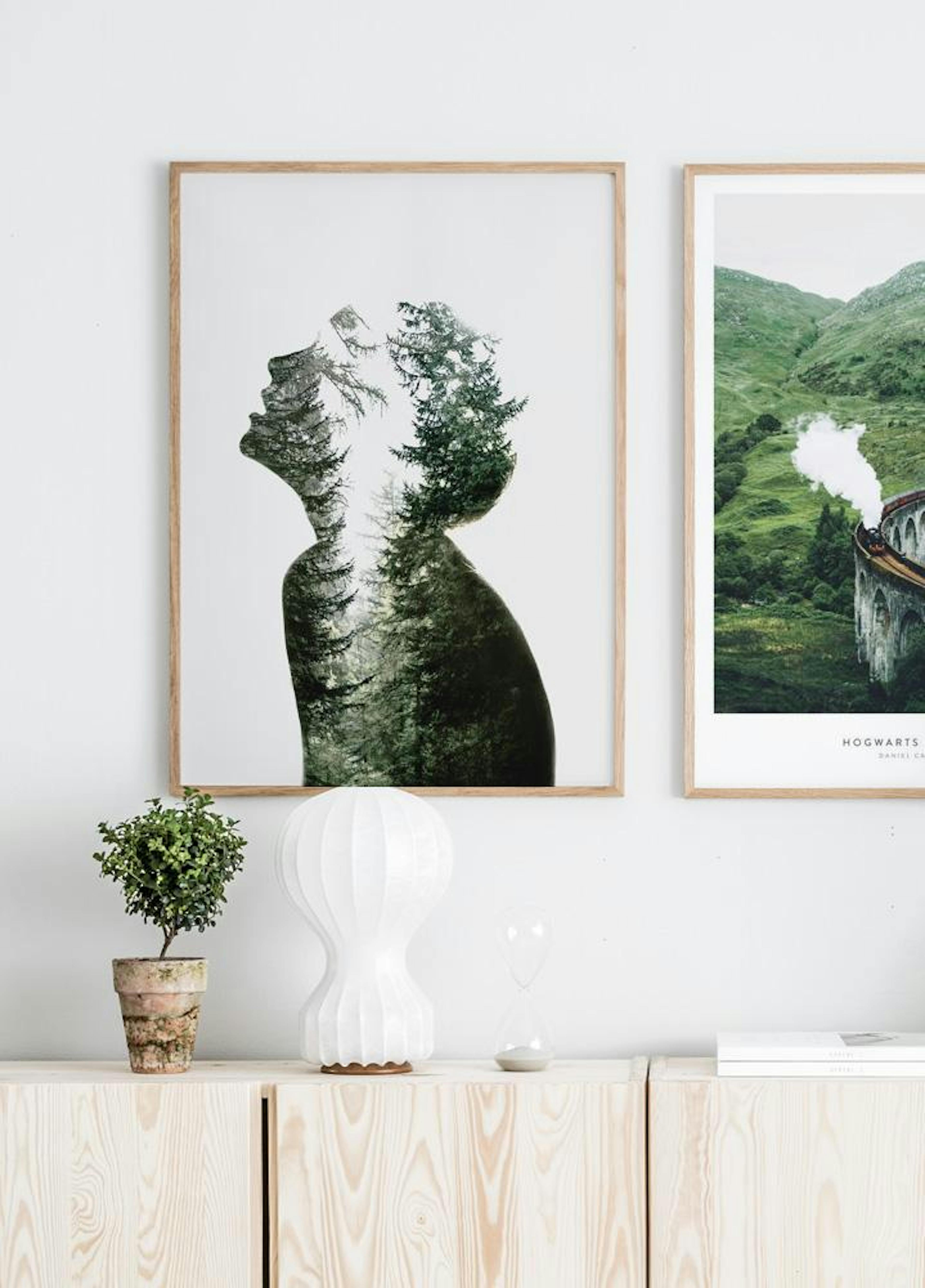 Dreams of Nature Poster thumbnail