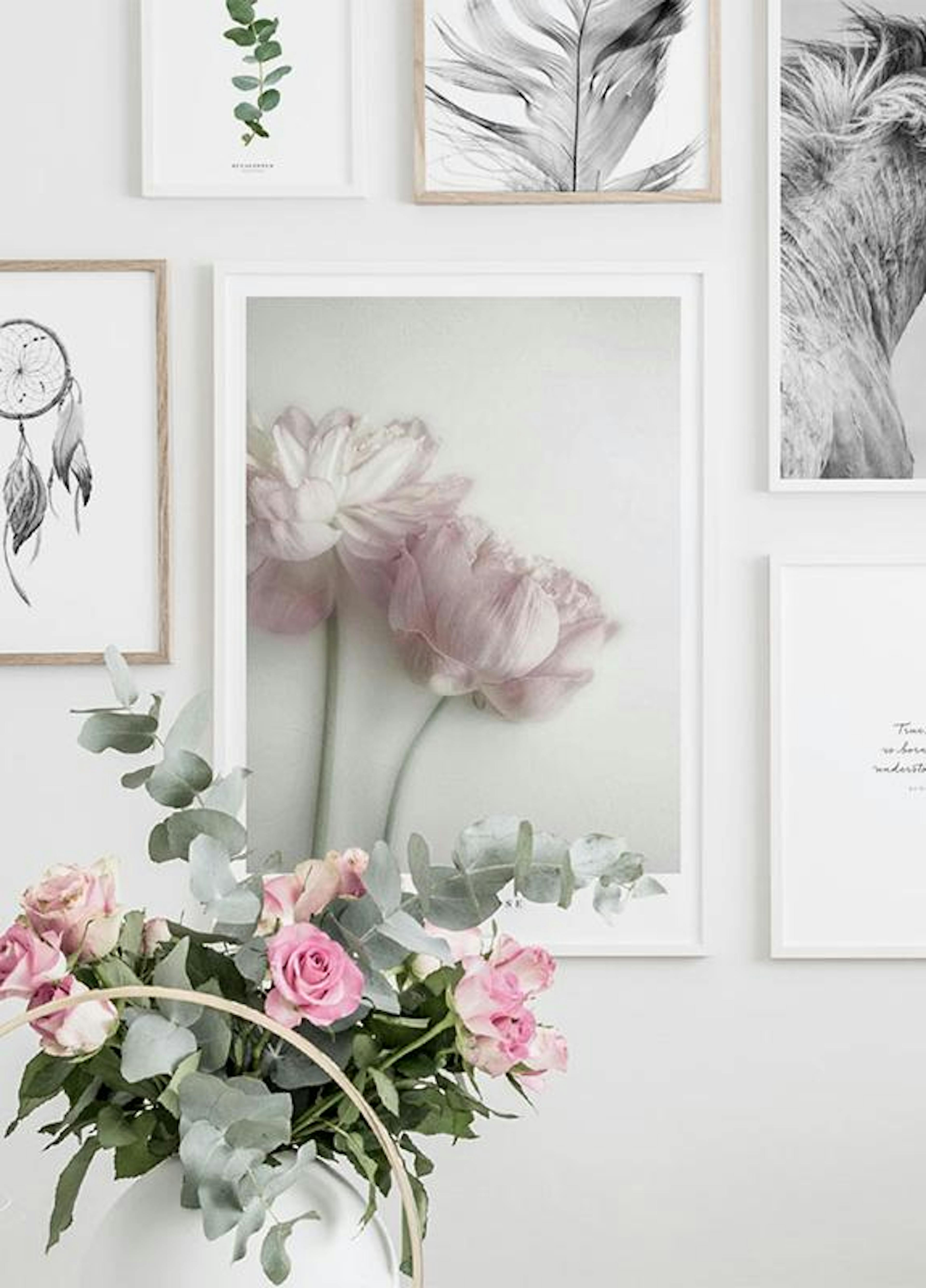 Eucalyptus Juliste thumbnail