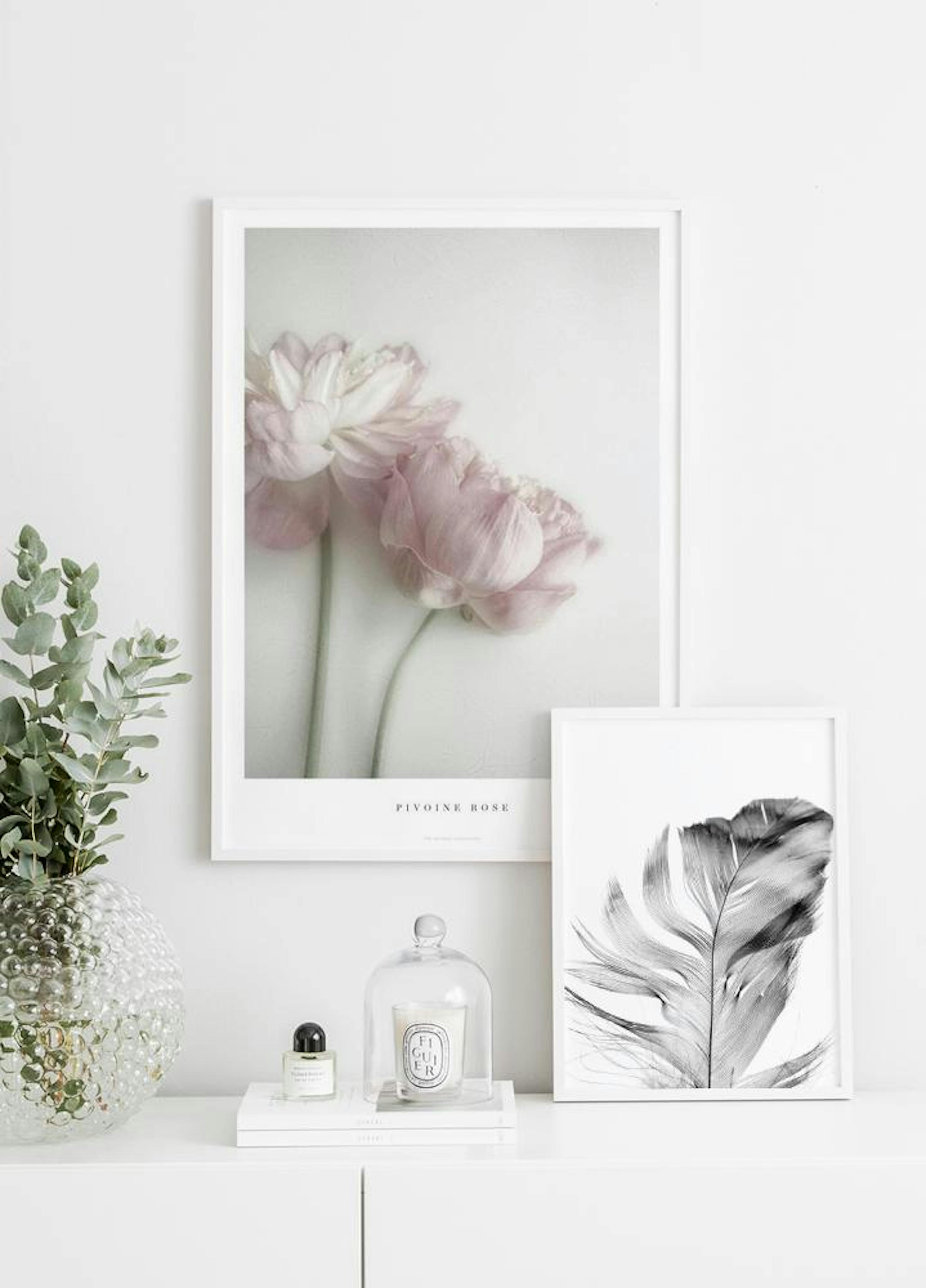 Pivoine Rose Poster thumbnail