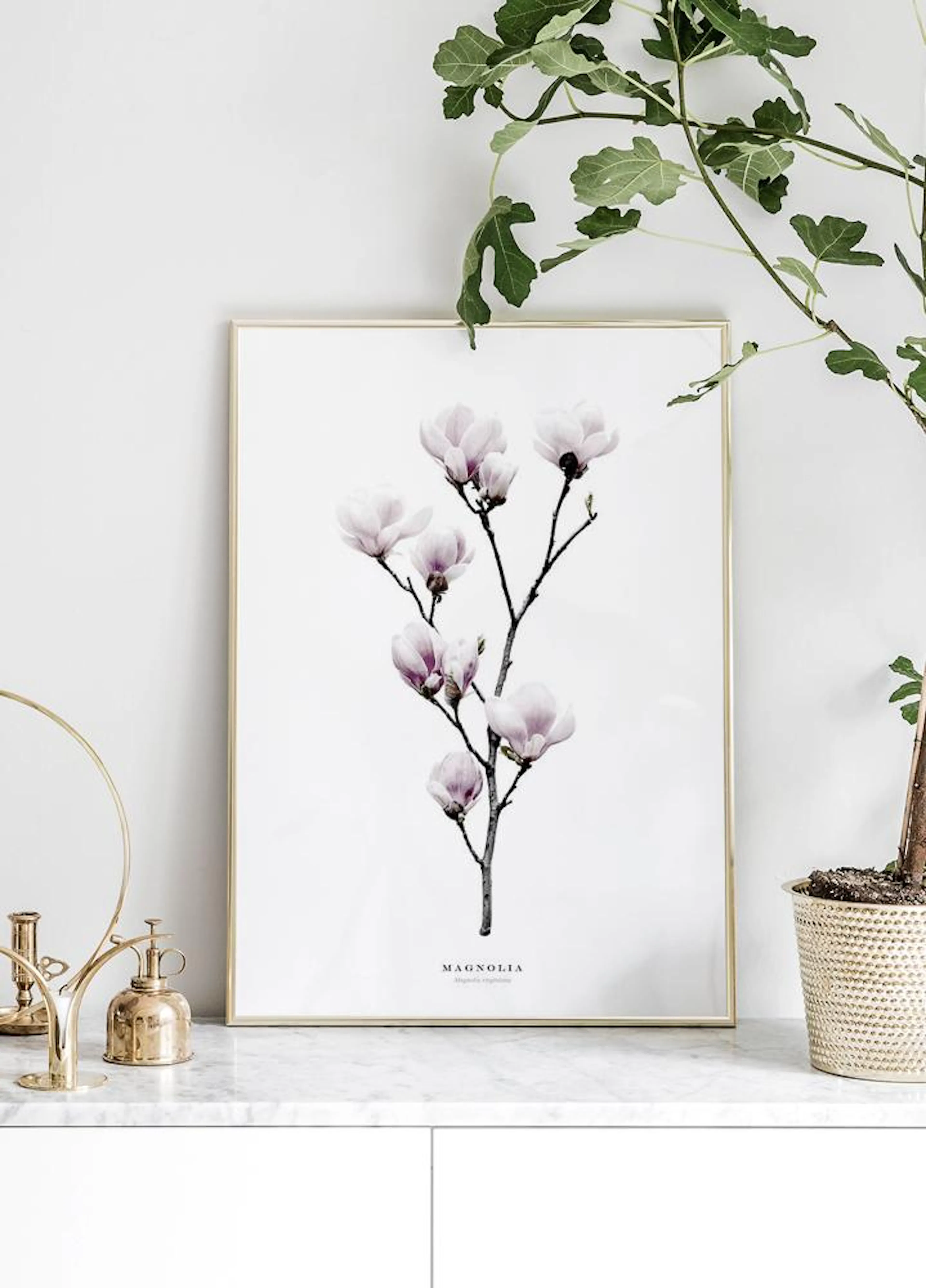 A poster featuring a branch with delicate pink magnolia blossoms, displayed on a white marble surface next to a large potted pla