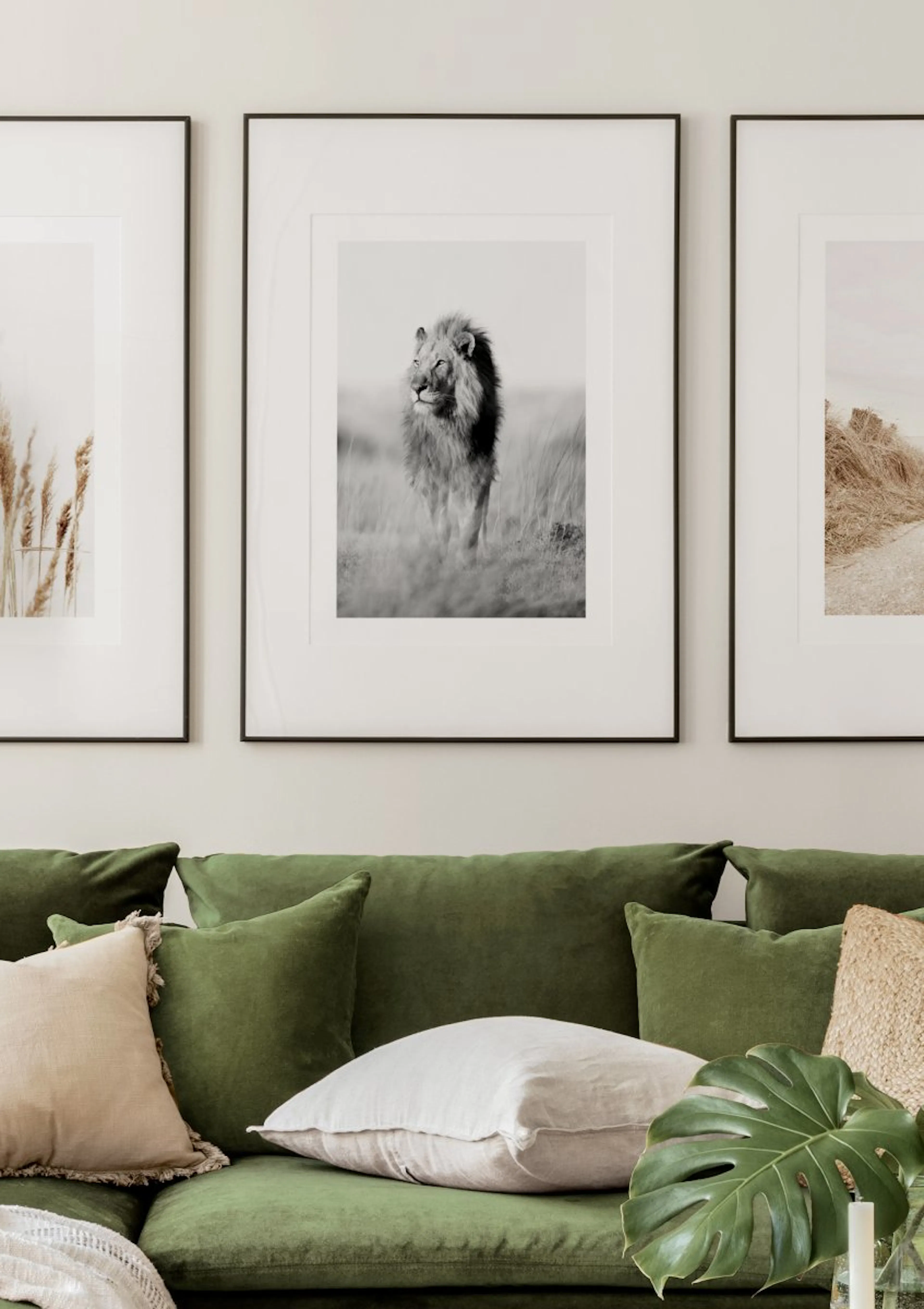 A gallery wall above a green sofa, featuring a black and white poster of a lion walking through tall grass.