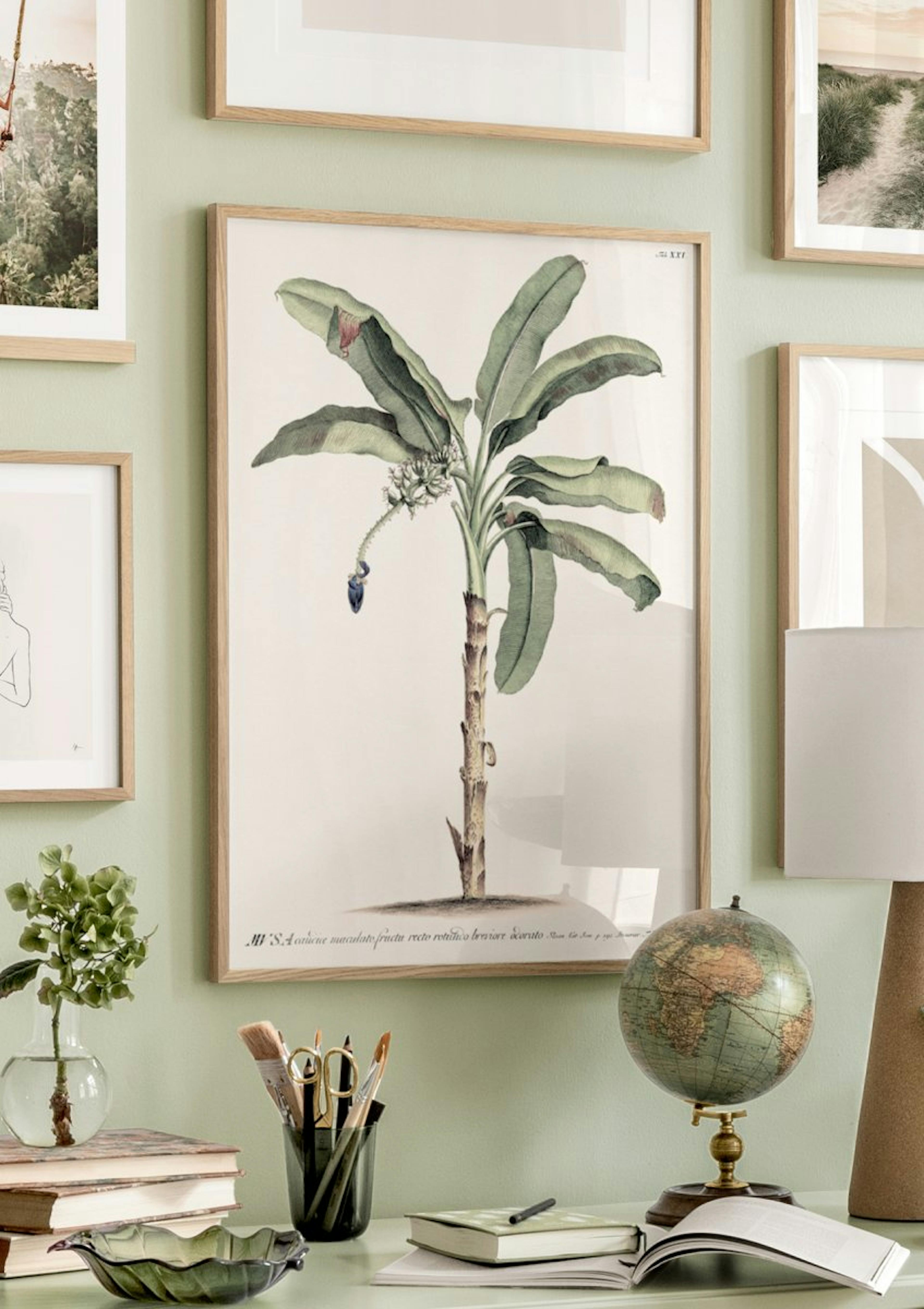 Vintage Banana Tree Poster thumbnail
