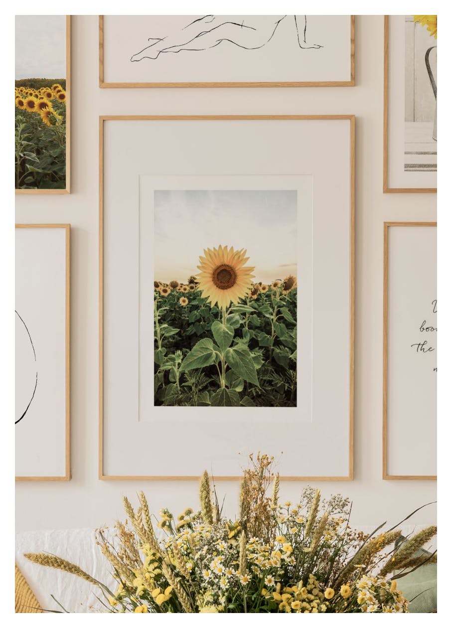 Sunflower Field Poster (30x40 cm) - Poster Store